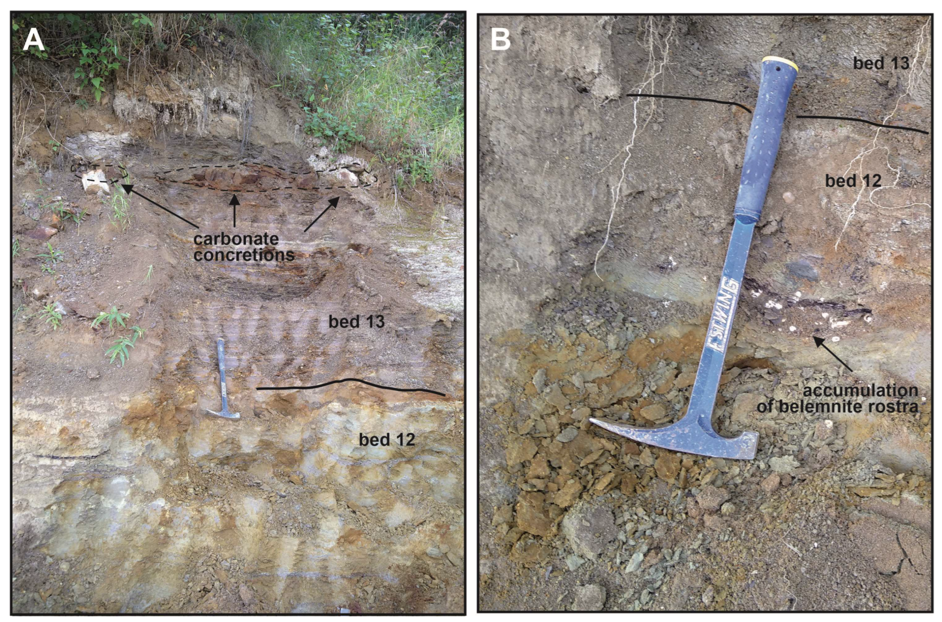 Diversity 15 00742 g003 Diversity 15 00742 g003