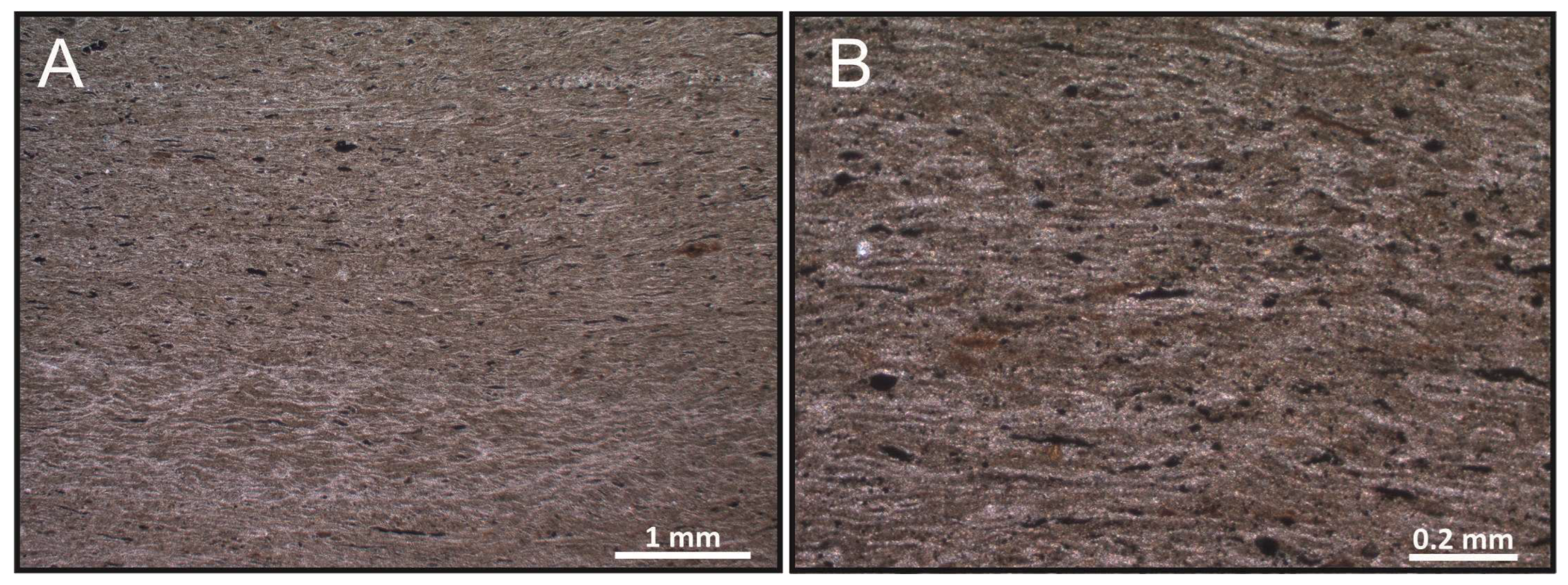 Diversity 15 00742 g005 Diversity 15 00742 g005