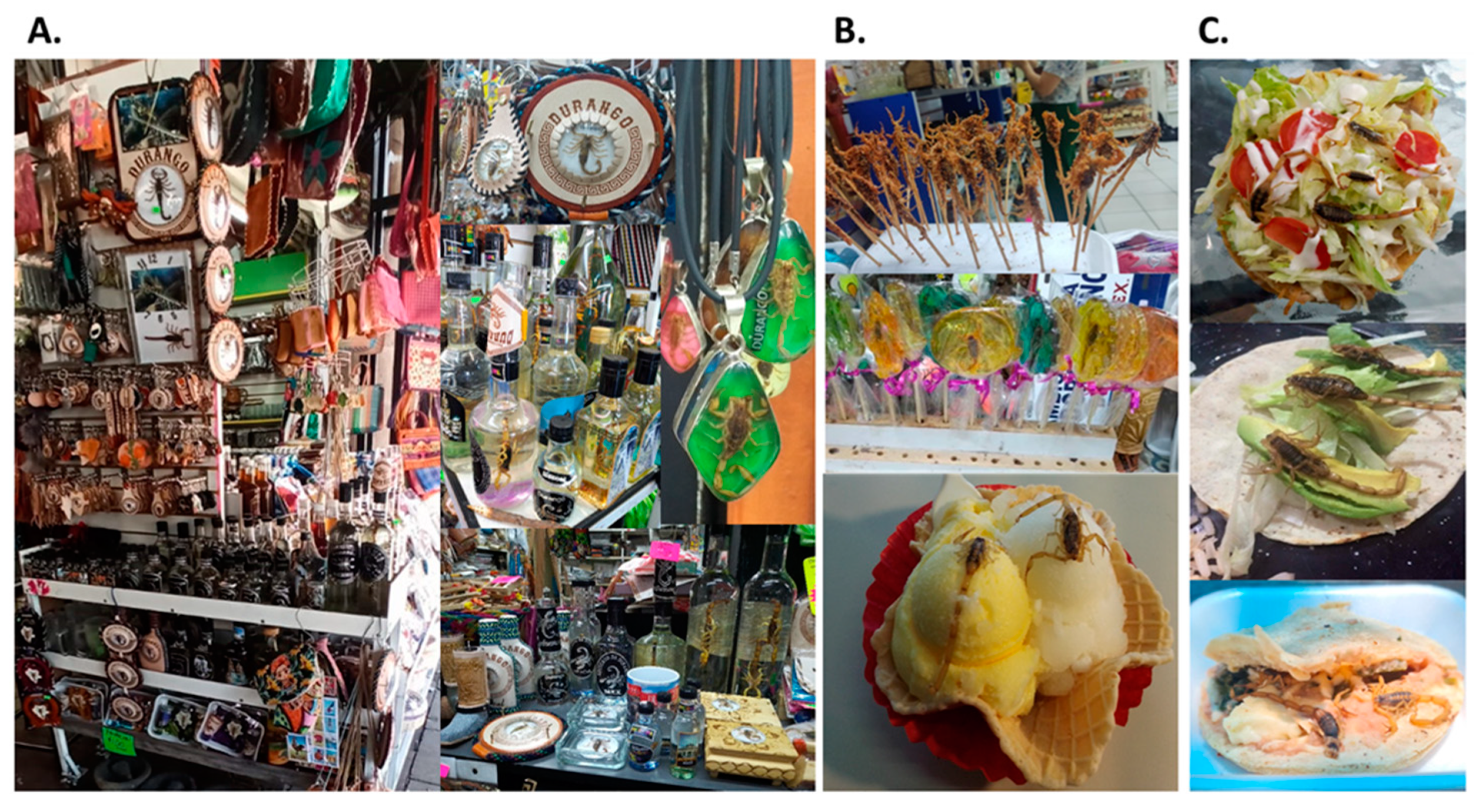 Diversity 15 00743 g002 Diversity 15 00743 g002