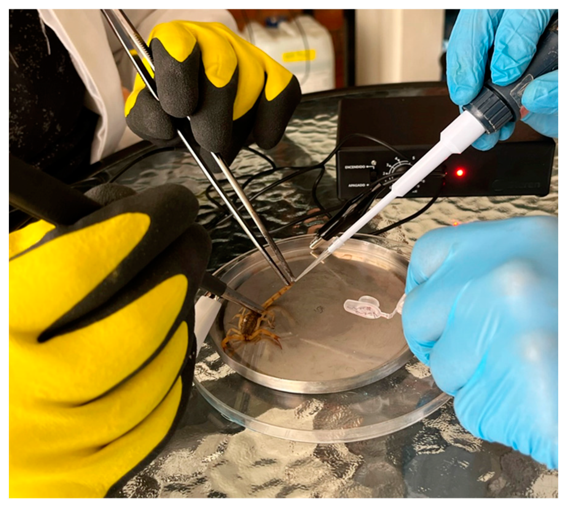 Diversity 15 00743 g005 Diversity 15 00743 g005