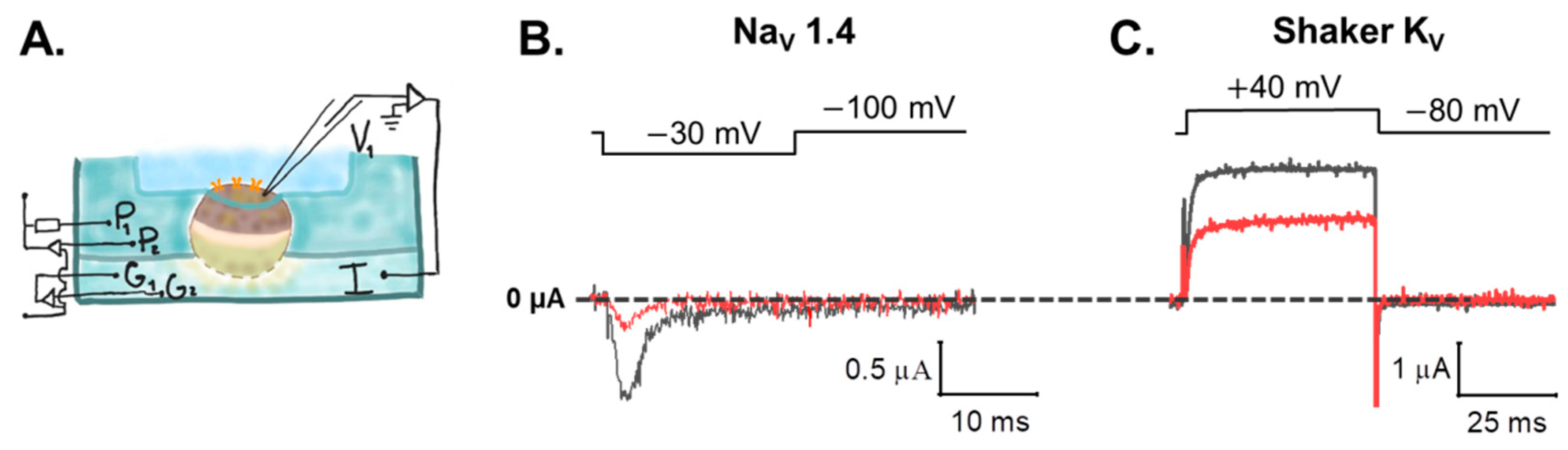 Diversity 15 00743 g006 Diversity 15 00743 g006