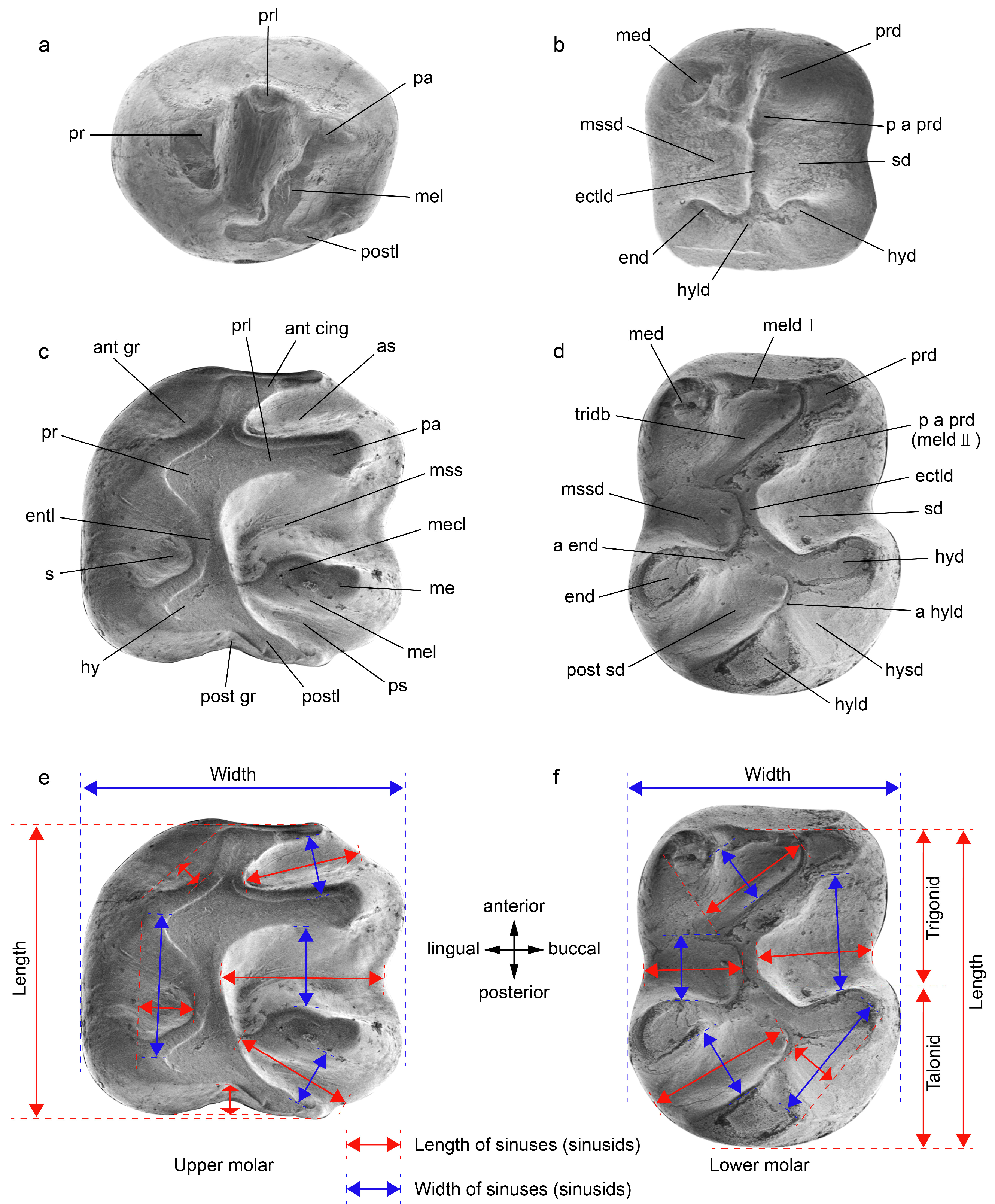 Diversity 15 00744 g002 Diversity 15 00744 g002