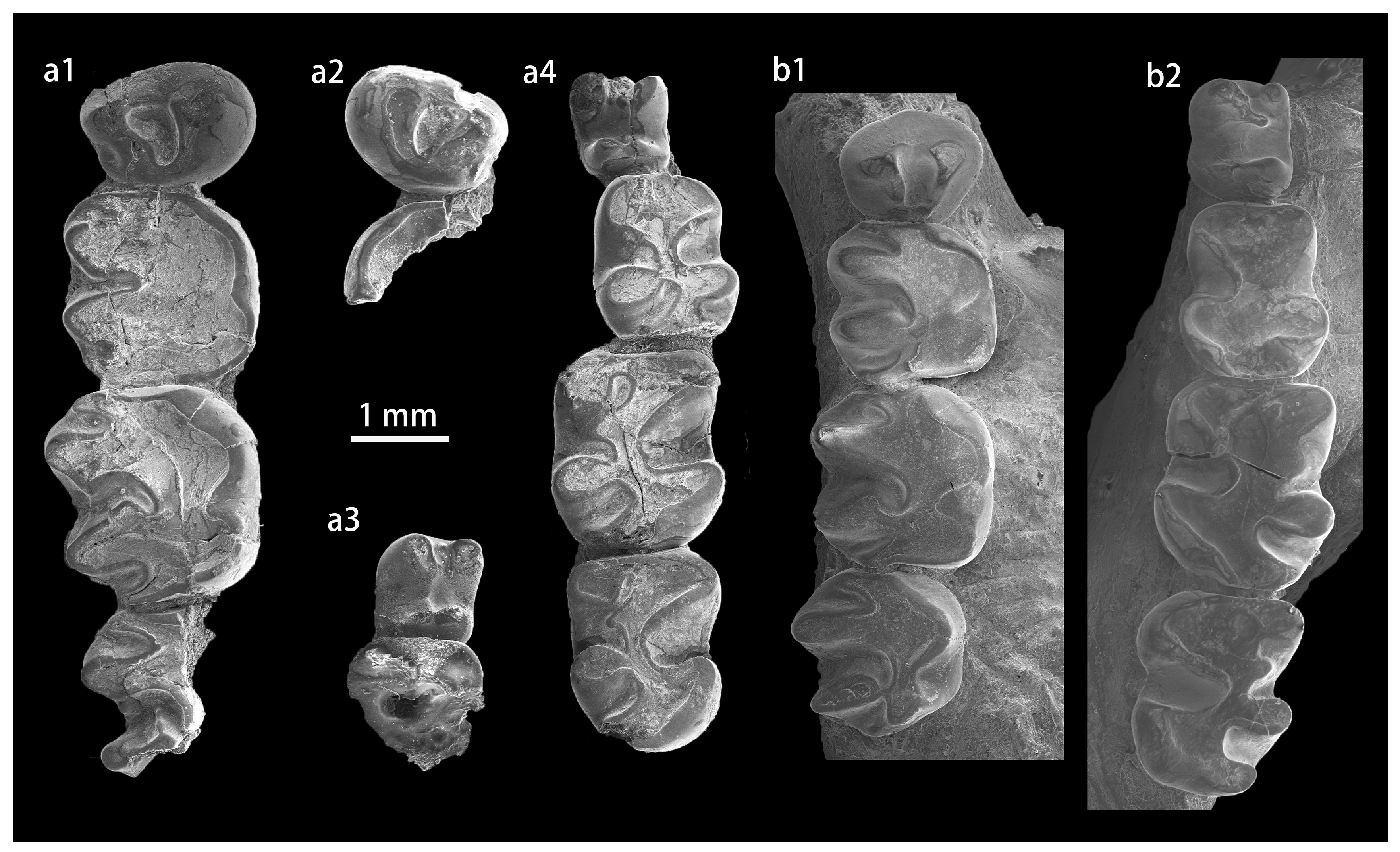 Diversity 15 00744 g0a1 Diversity 15 00744 g0a1