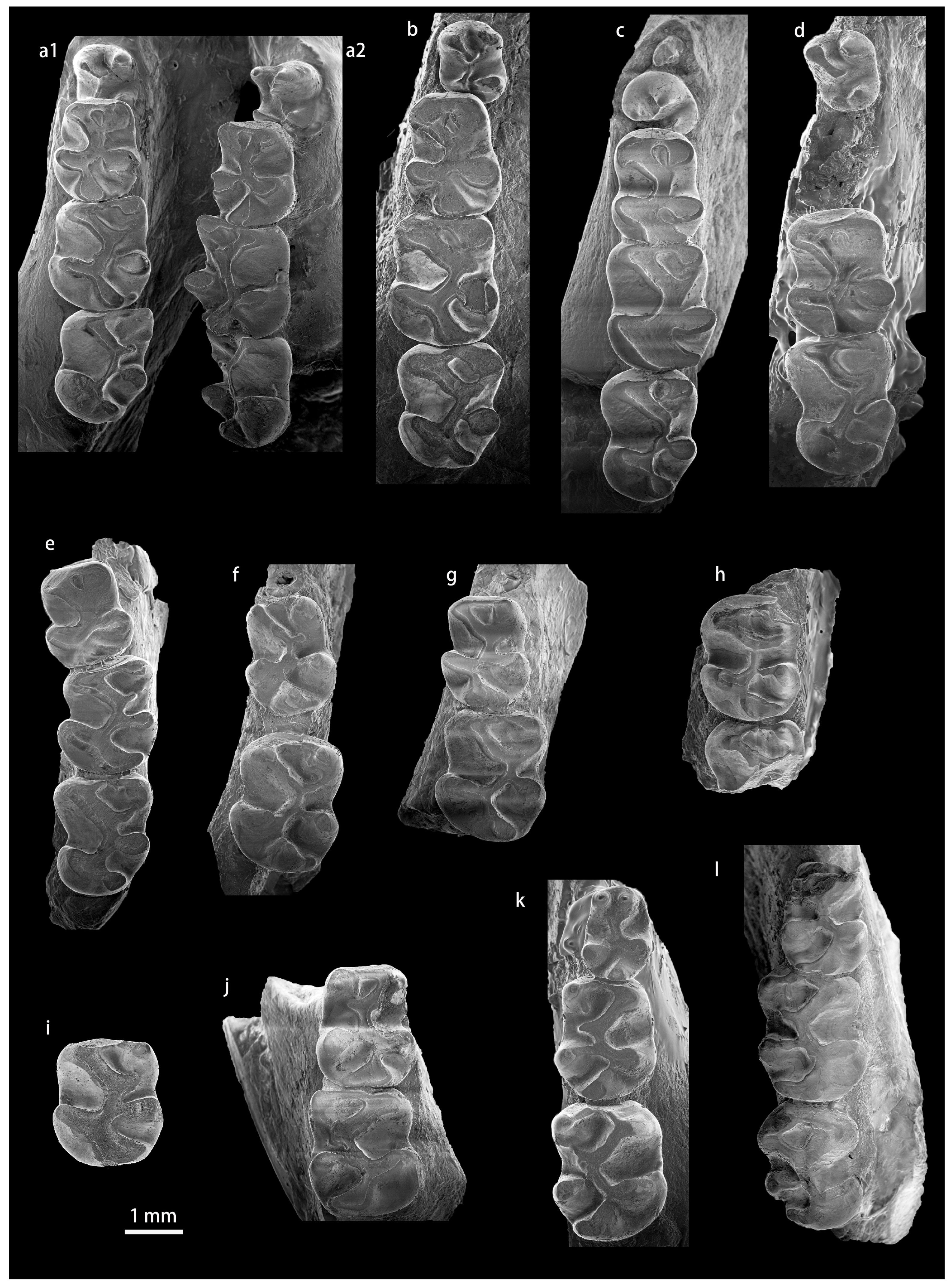 Diversity 15 00744 g0a10 Diversity 15 00744 g0a10