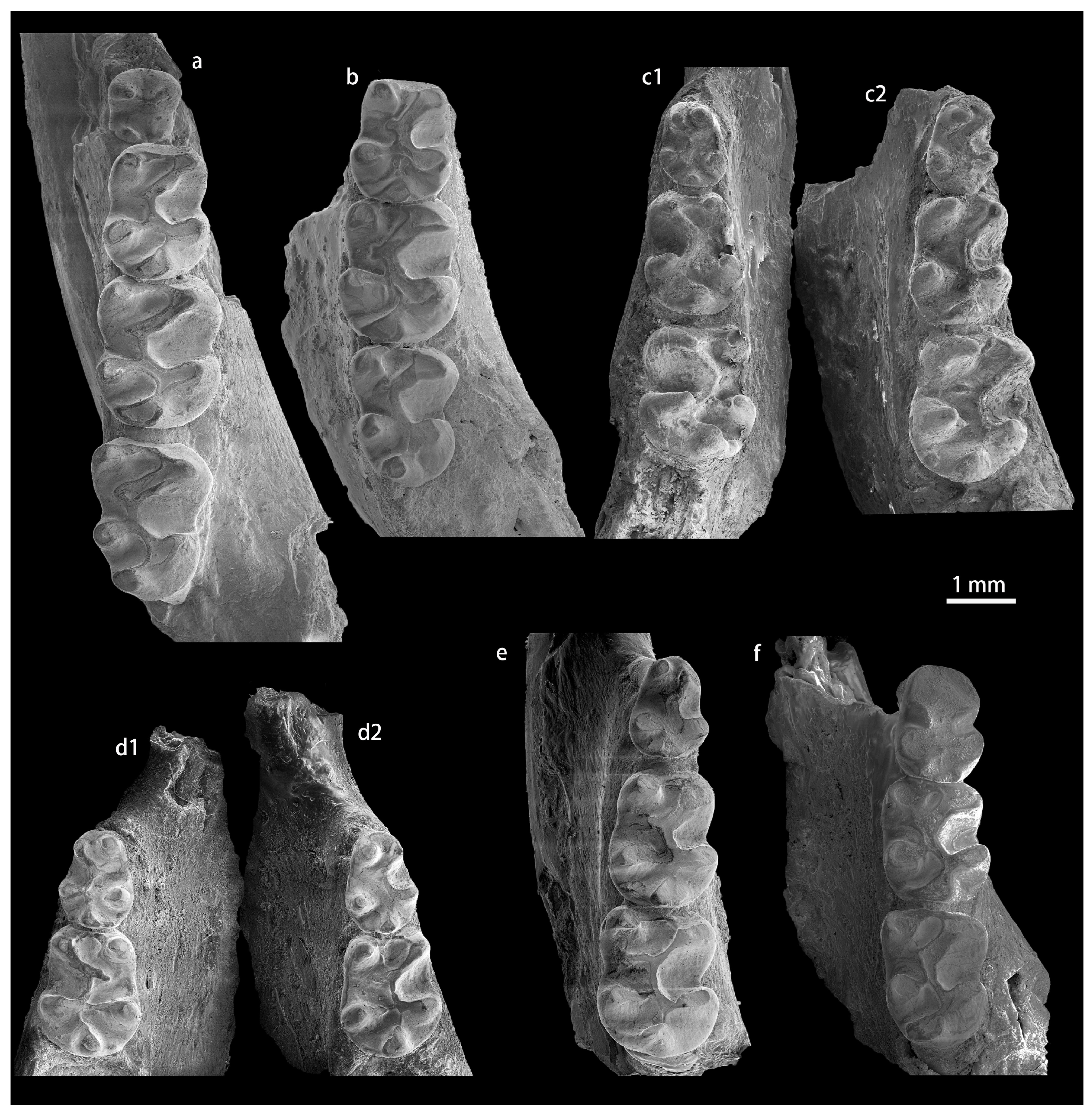 Diversity 15 00744 g0a3 Diversity 15 00744 g0a3