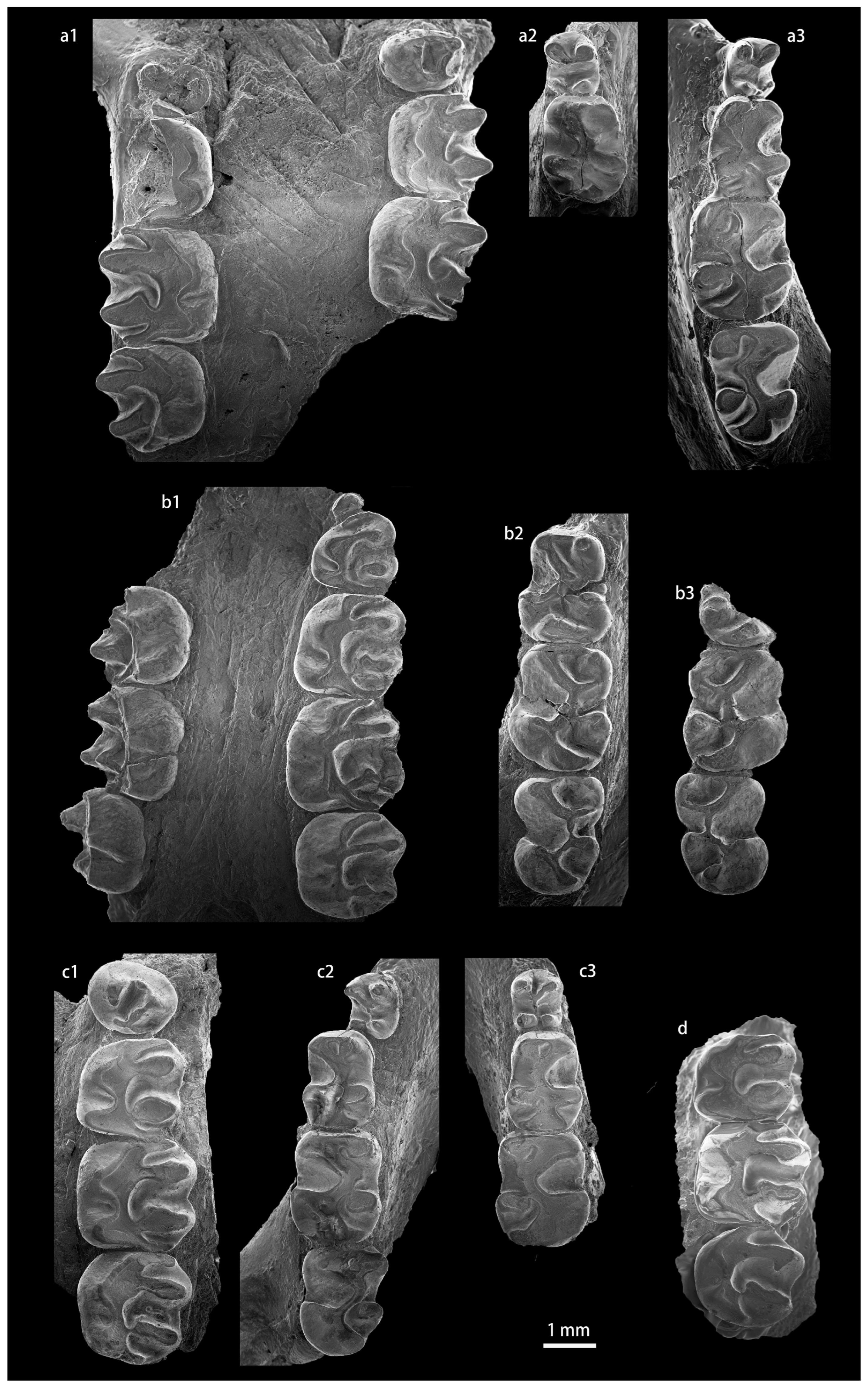 Diversity 15 00744 g0a9 Diversity 15 00744 g0a9