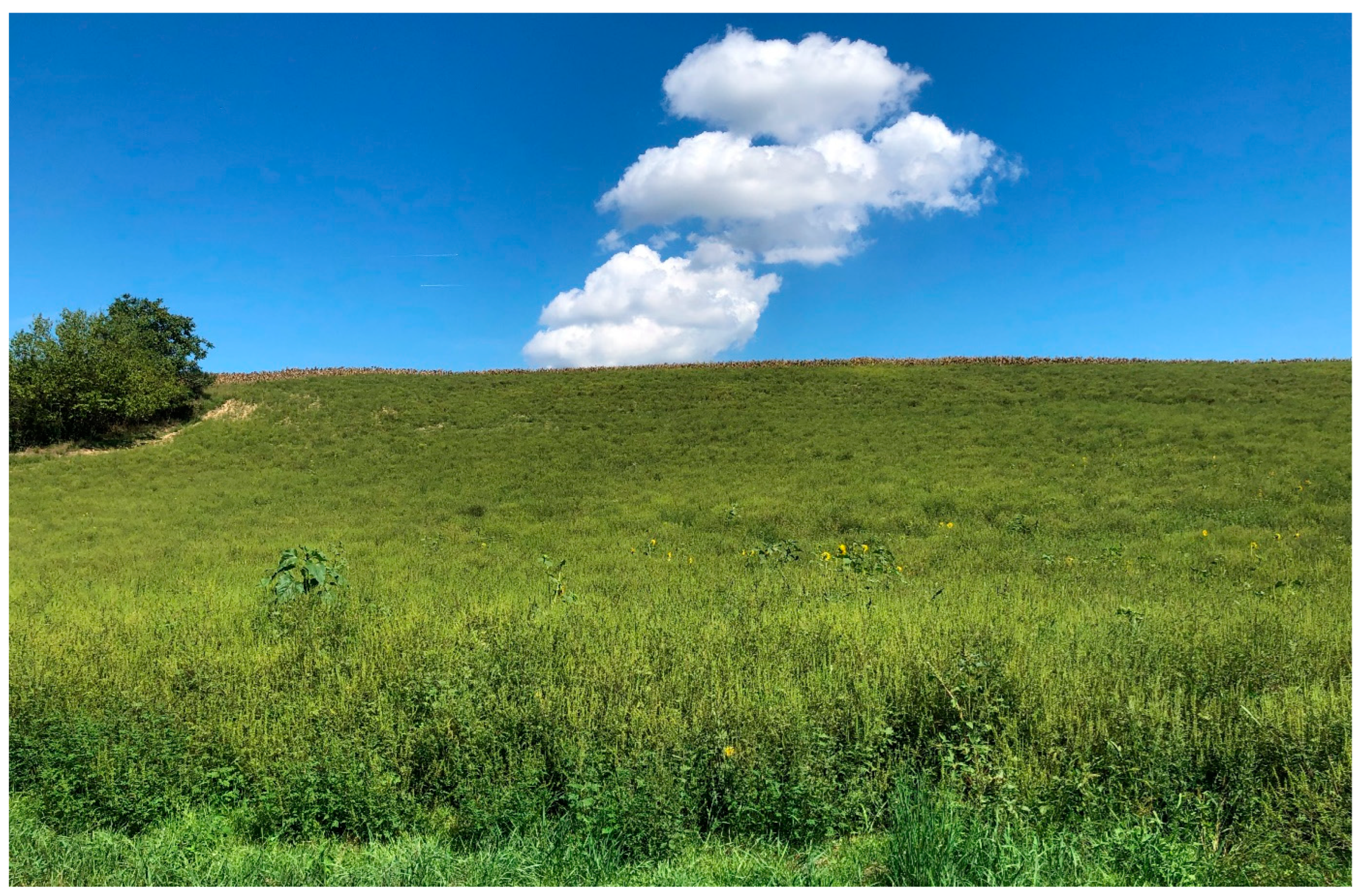 Diversity 15 00757 g003