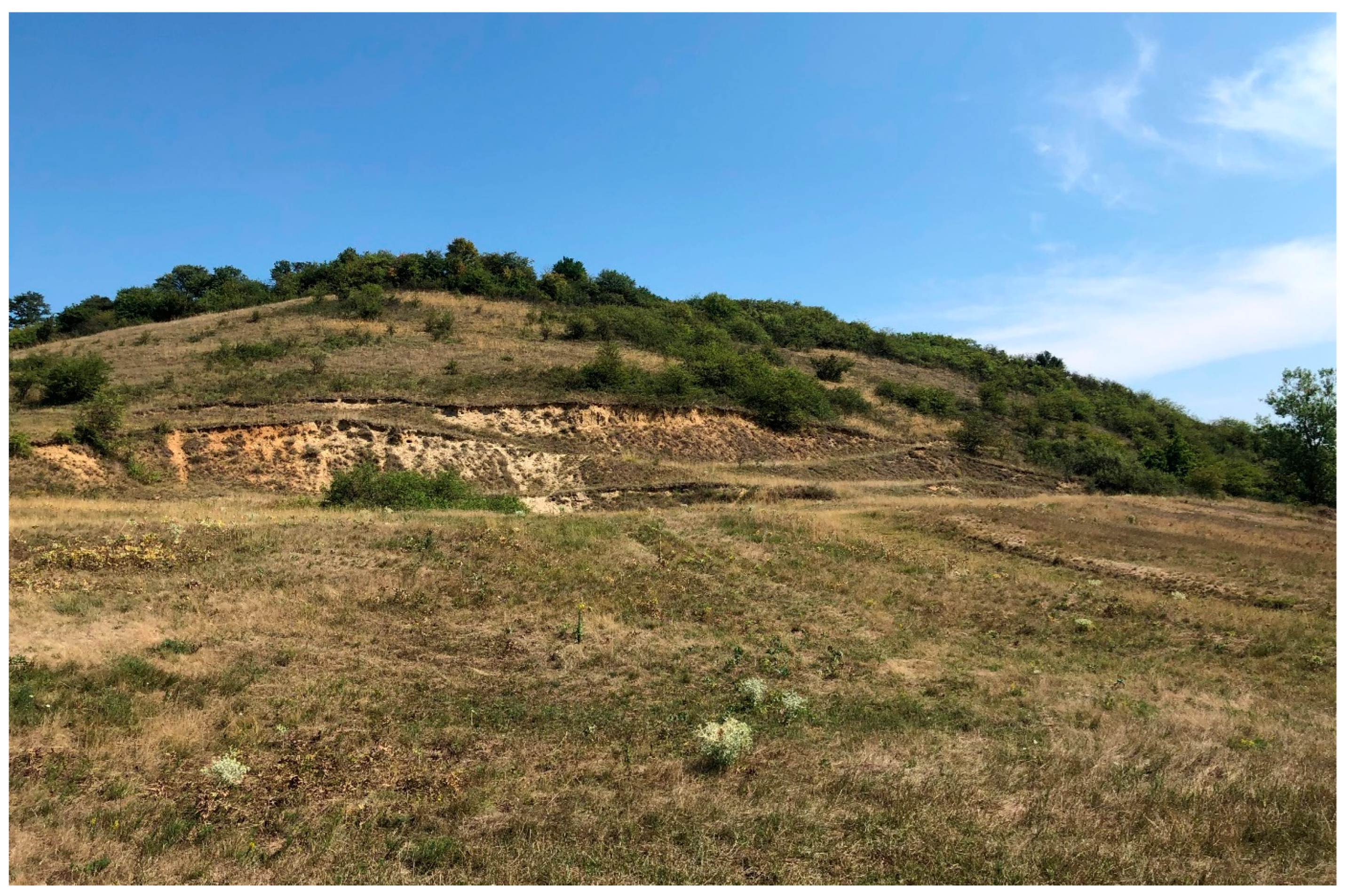 Diversity 15 00757 g005