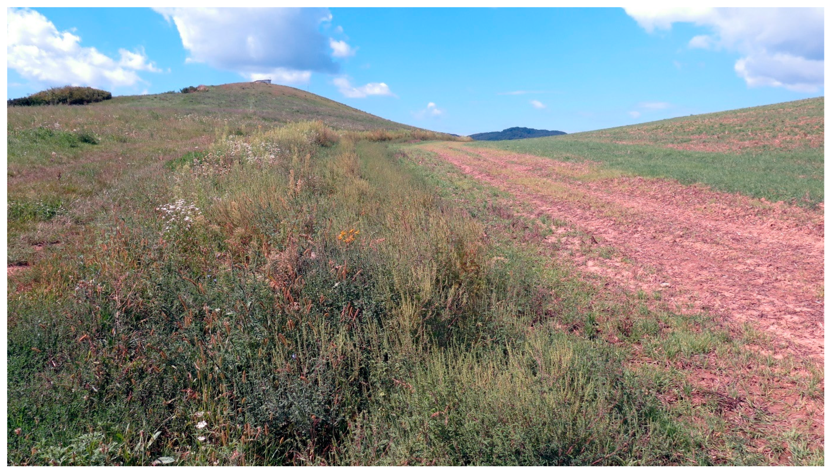 Diversity 15 00757 g006