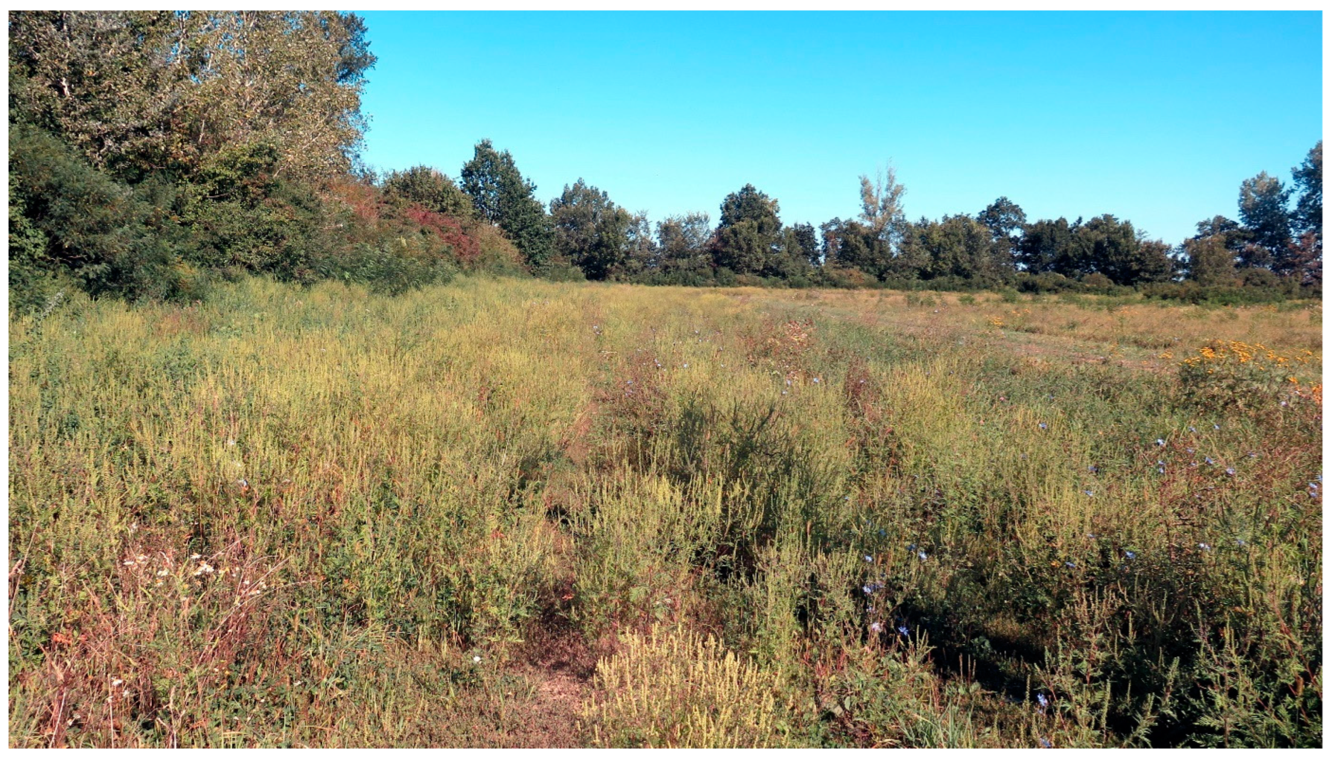 Diversity 15 00757 g008