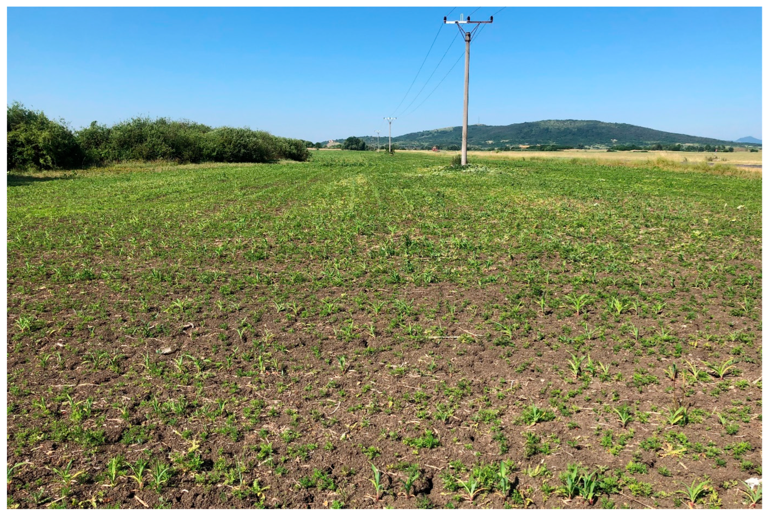 Diversity 15 00757 g009