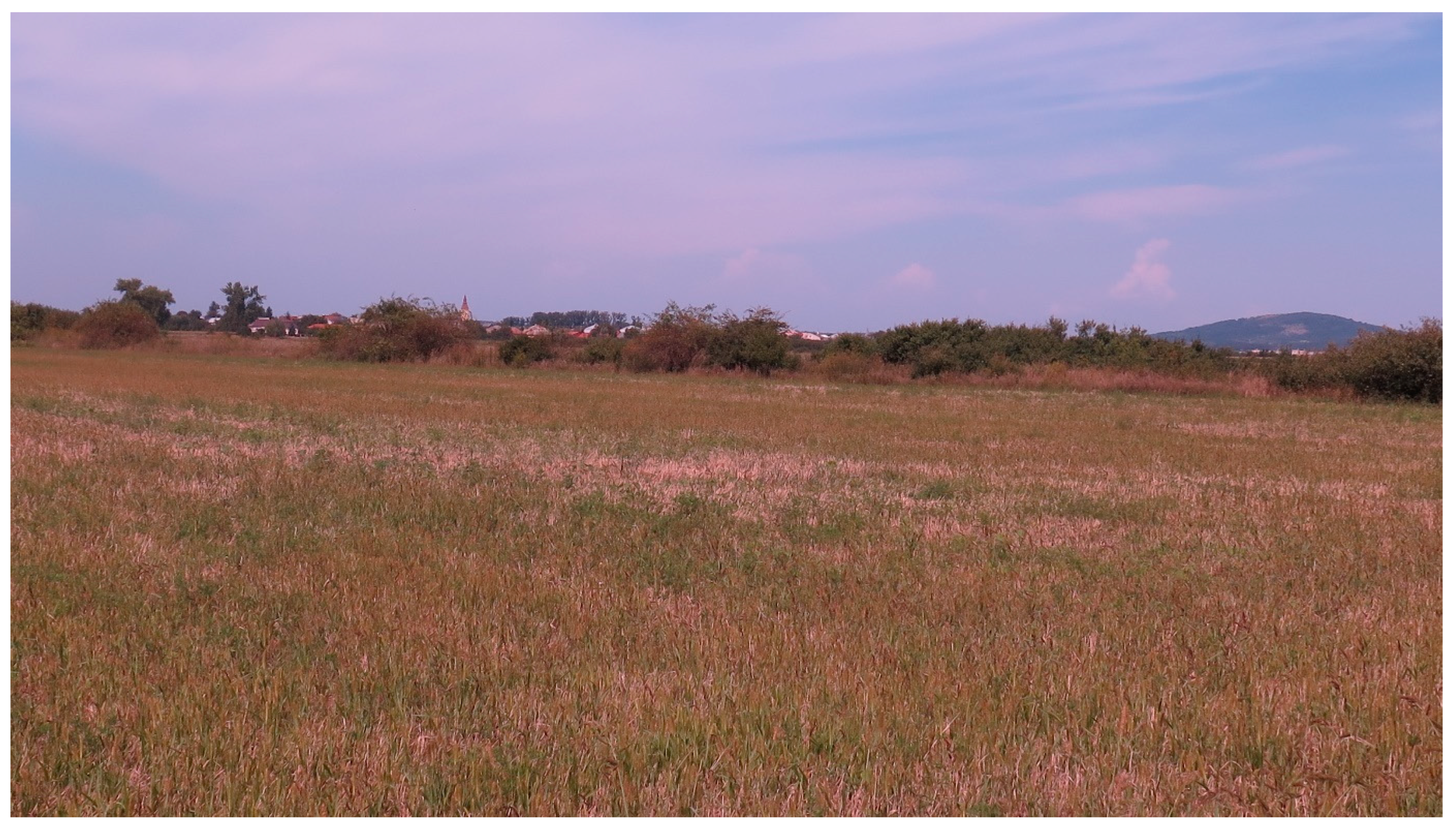 Diversity 15 00757 g010