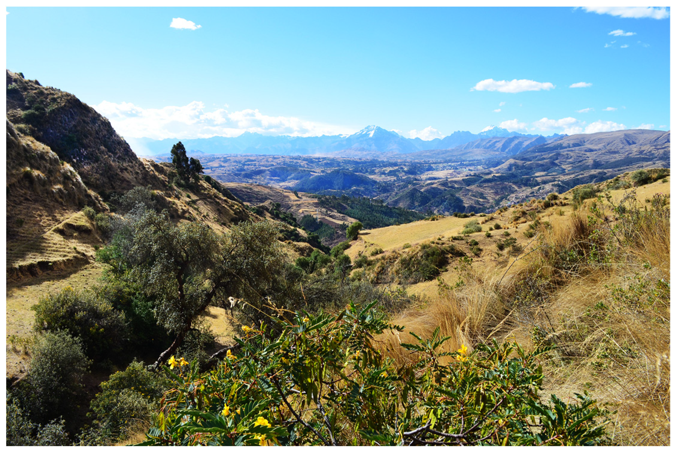 Diversity 15 00760 g002 Diversity 15 00760 g002