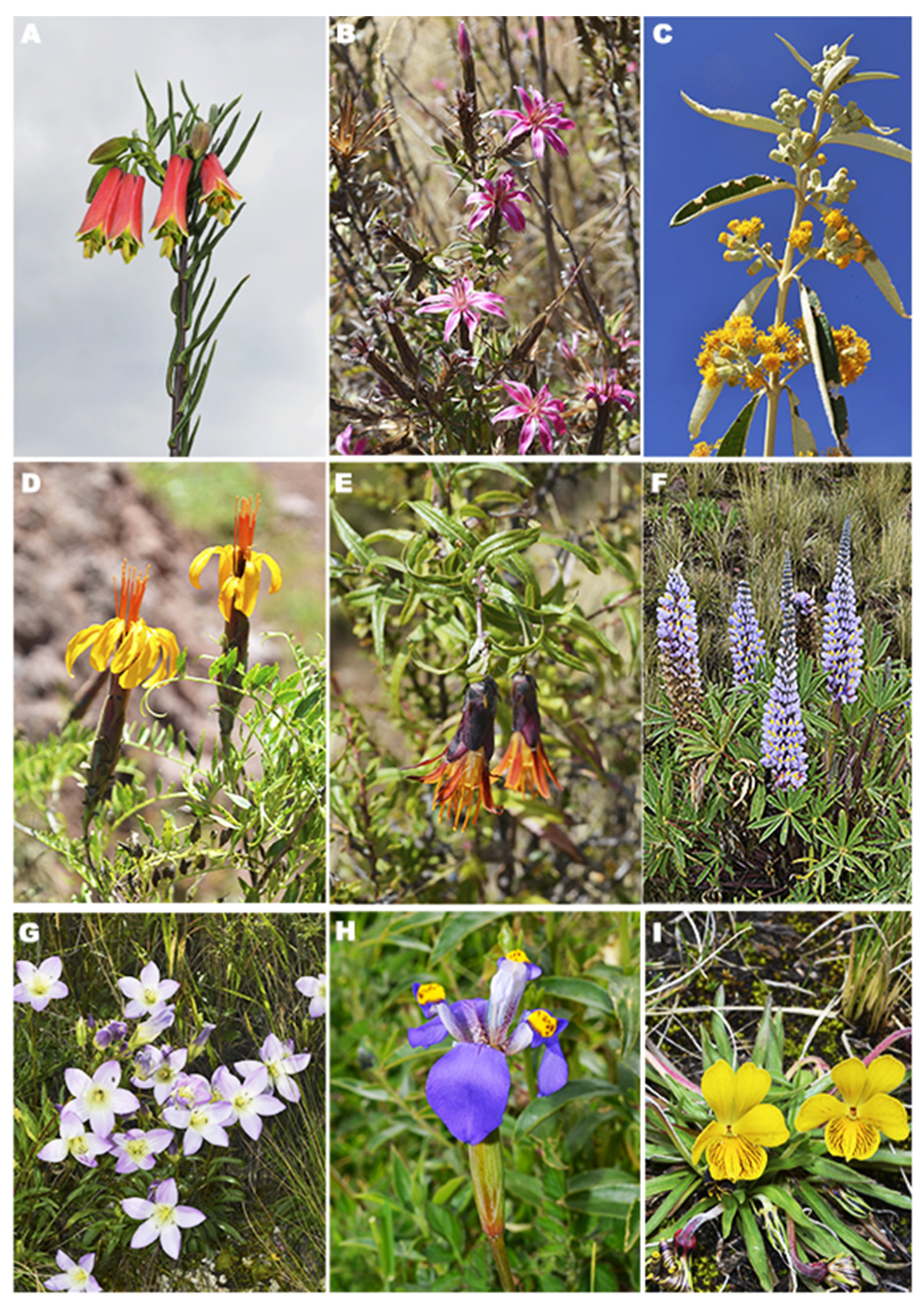 Diversity 15 00760 g003 Diversity 15 00760 g003