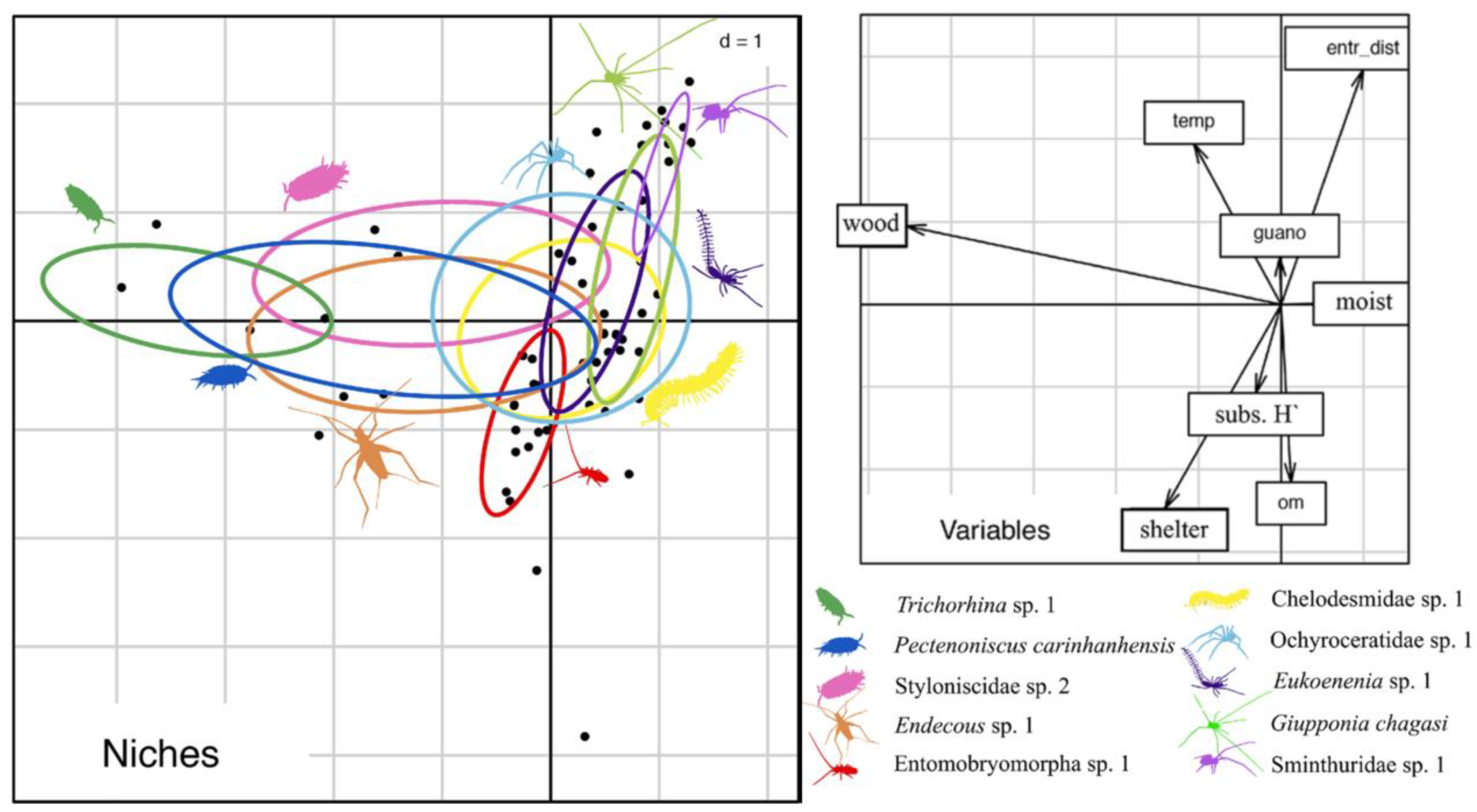 Diversity 15 00761 g004