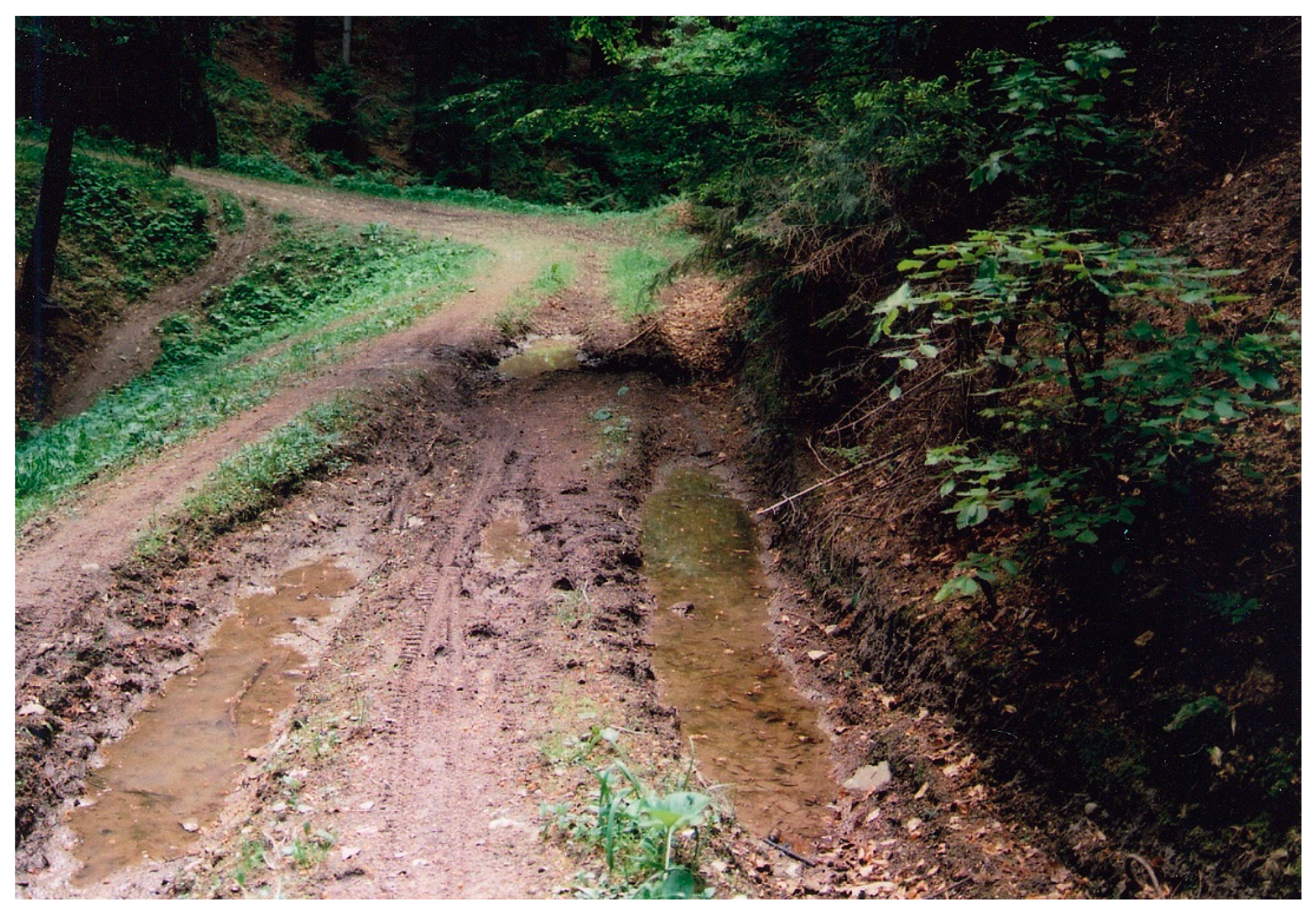 Diversity 15 00762 g002 Diversity 15 00762 g002