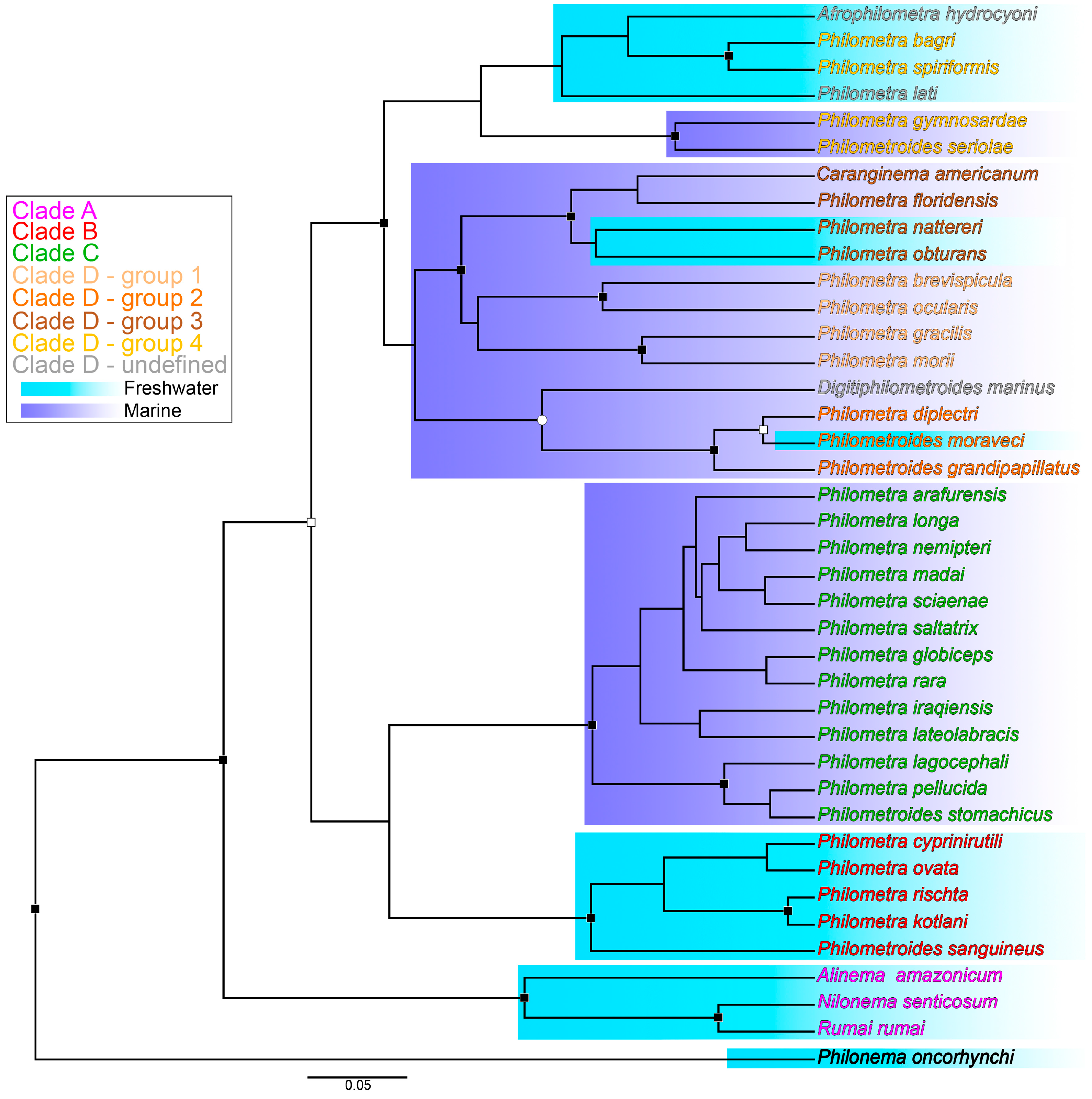 Diversity 15 00763 g002