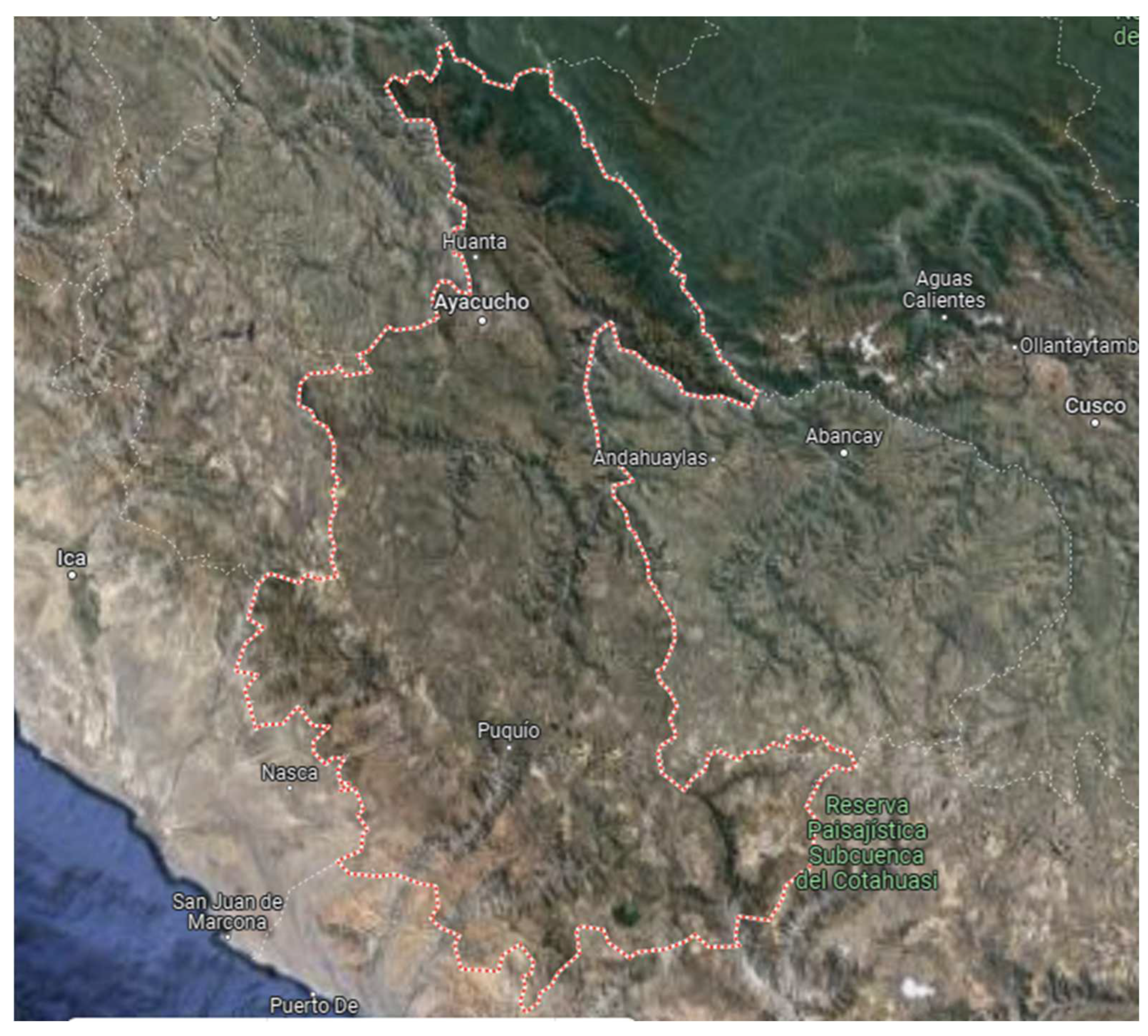 Diversity 15 00764 g001