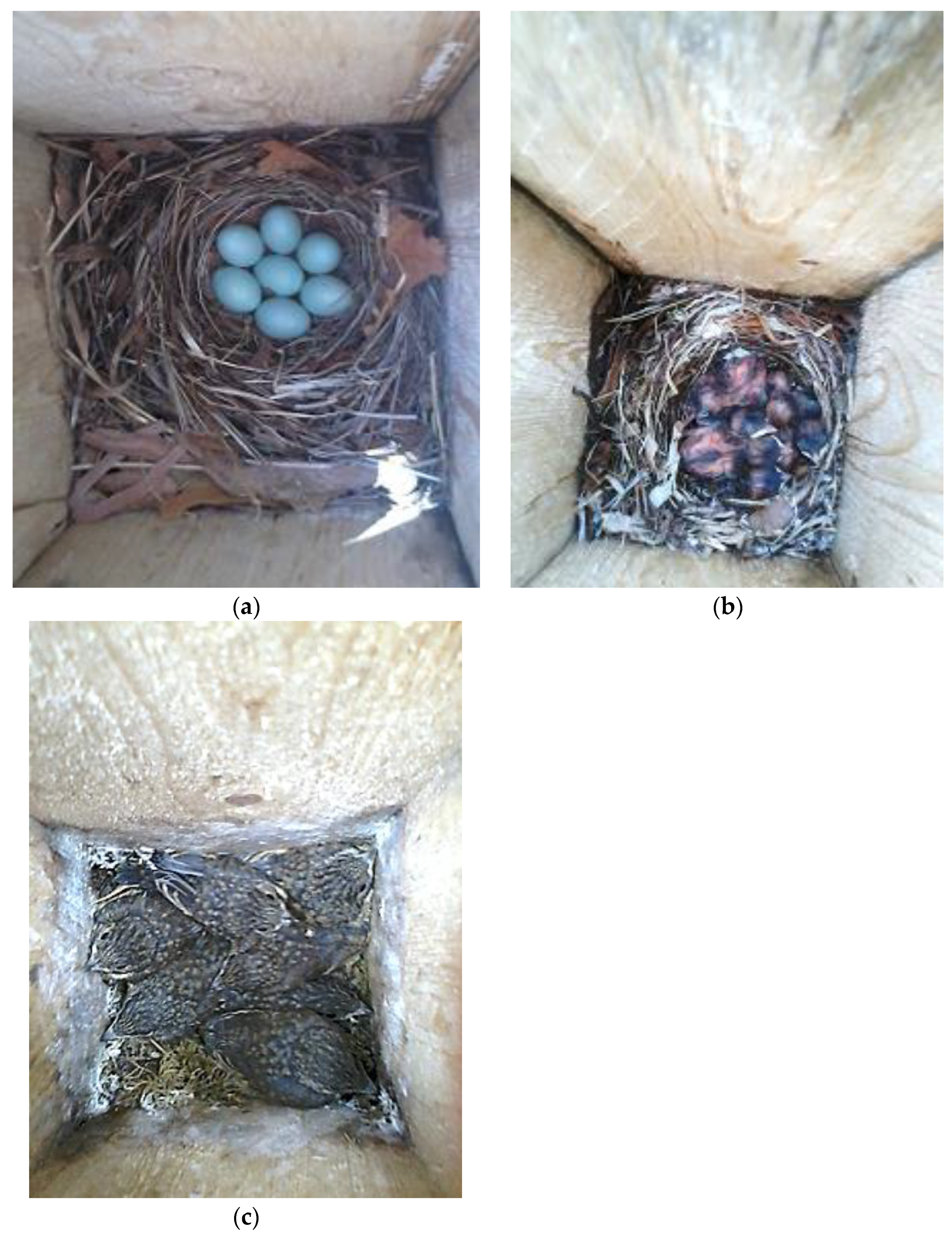 Diversity 15 00765 g002