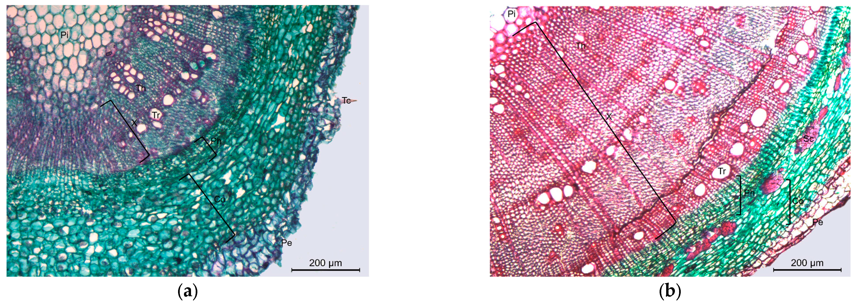 Diversity 15 00769 g004