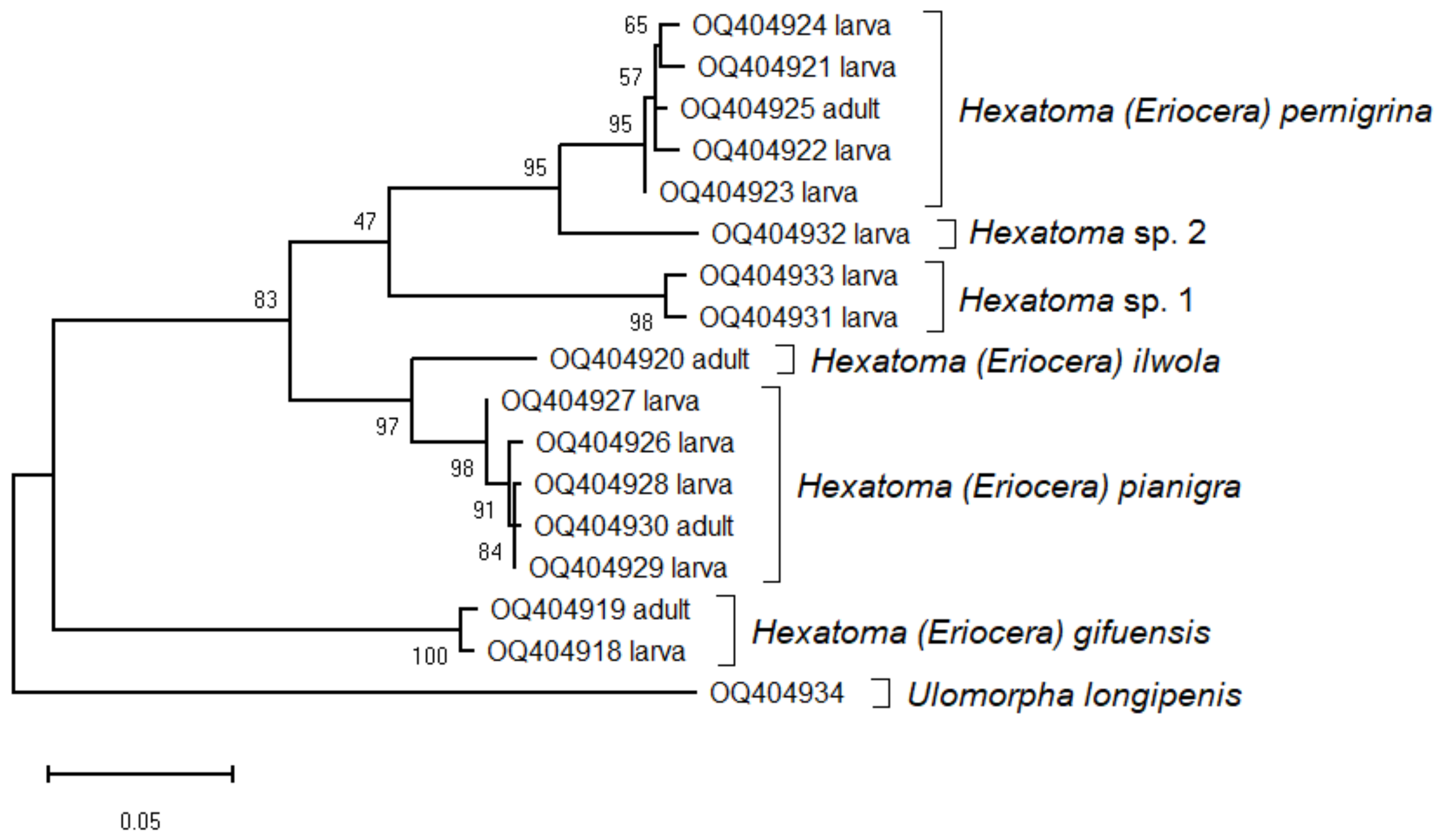 Diversity 15 00770 g001