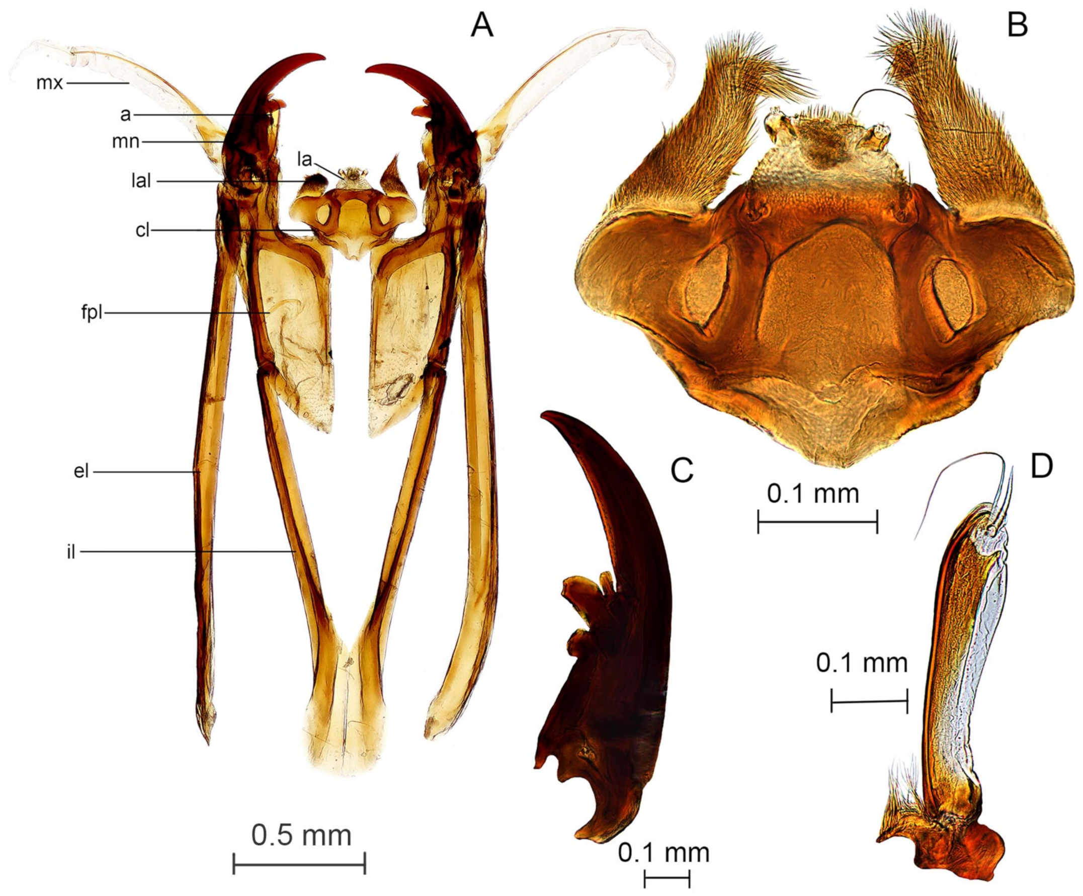 Diversity 15 00770 g003