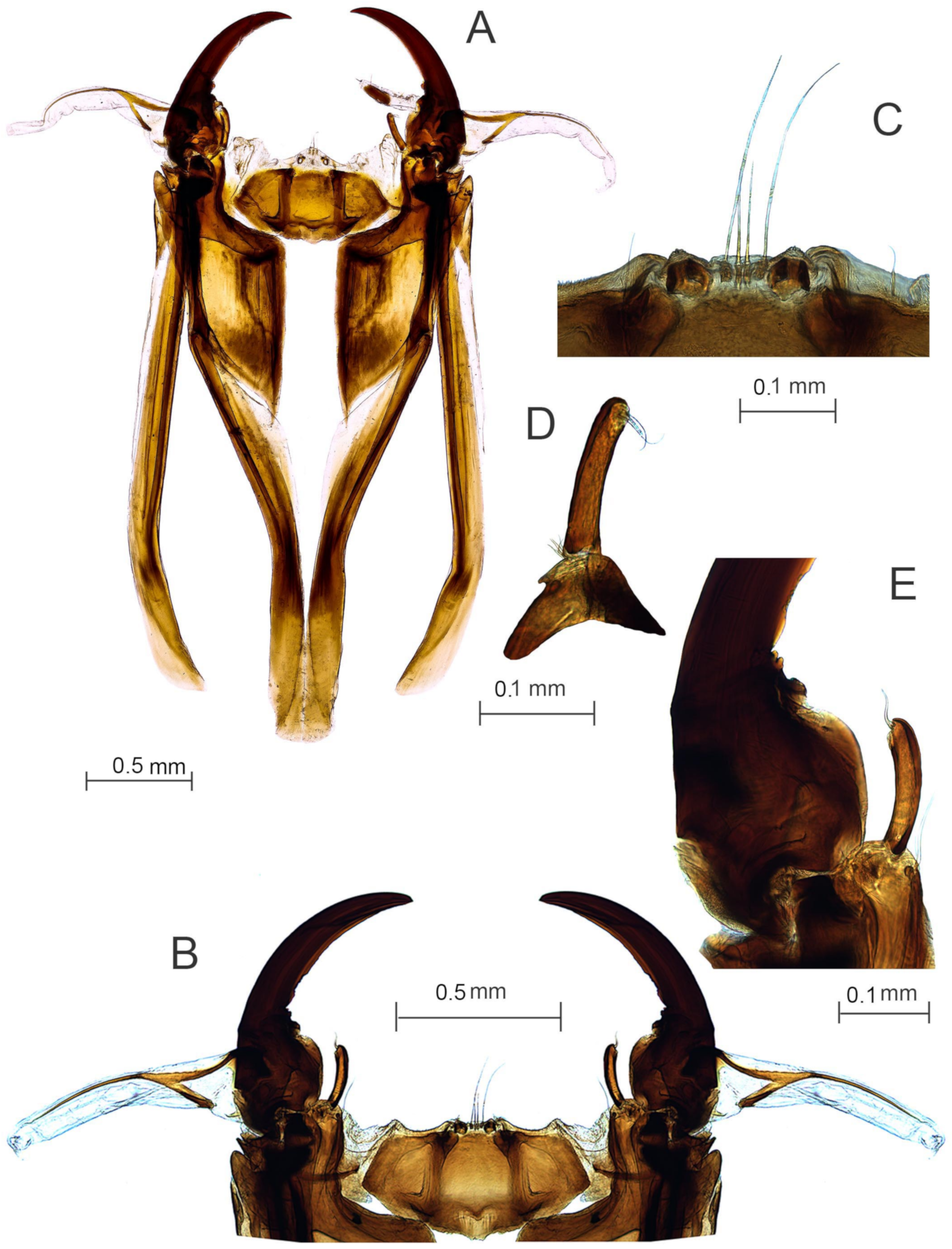 Diversity 15 00770 g015