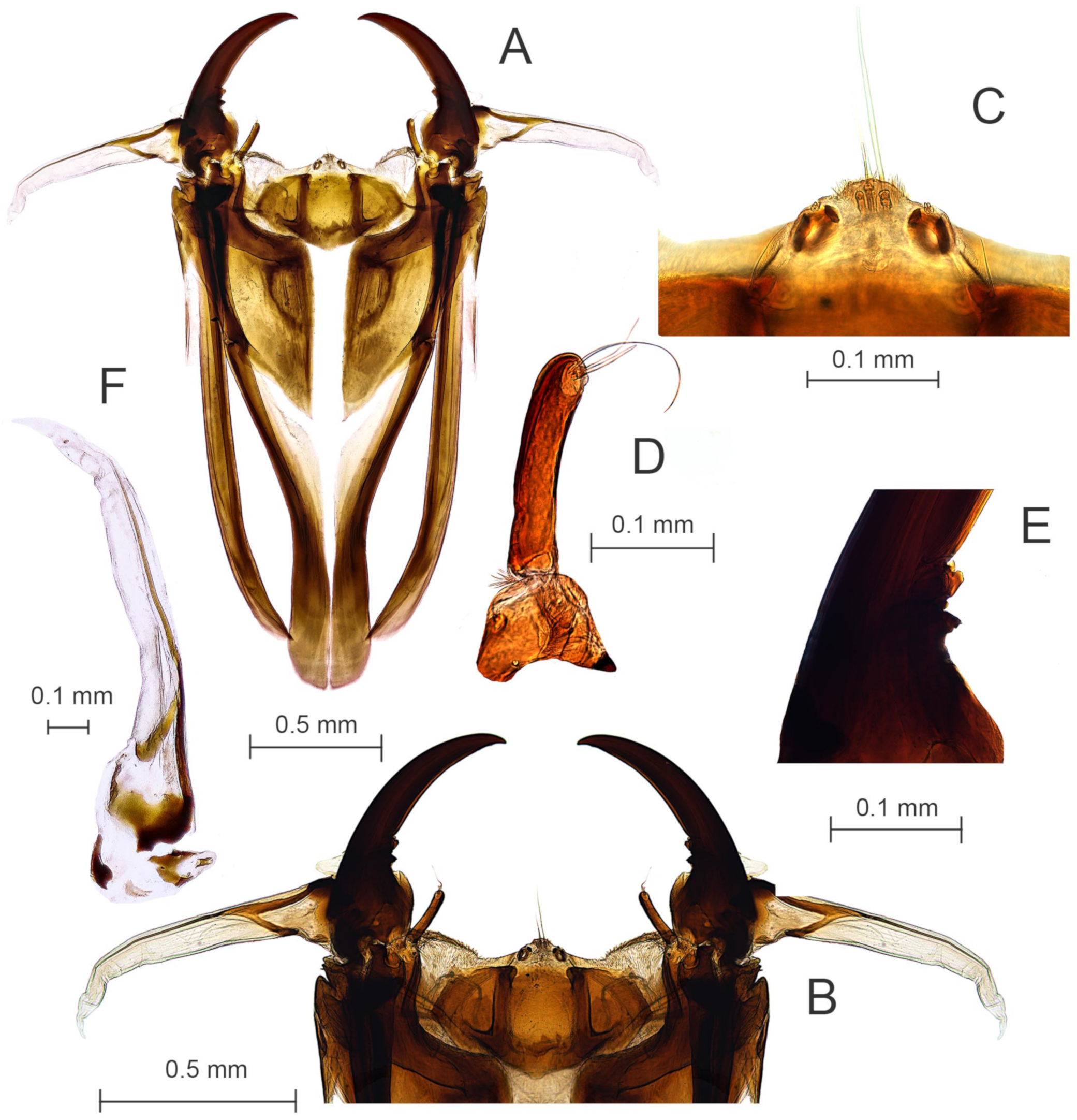 Diversity 15 00770 g018