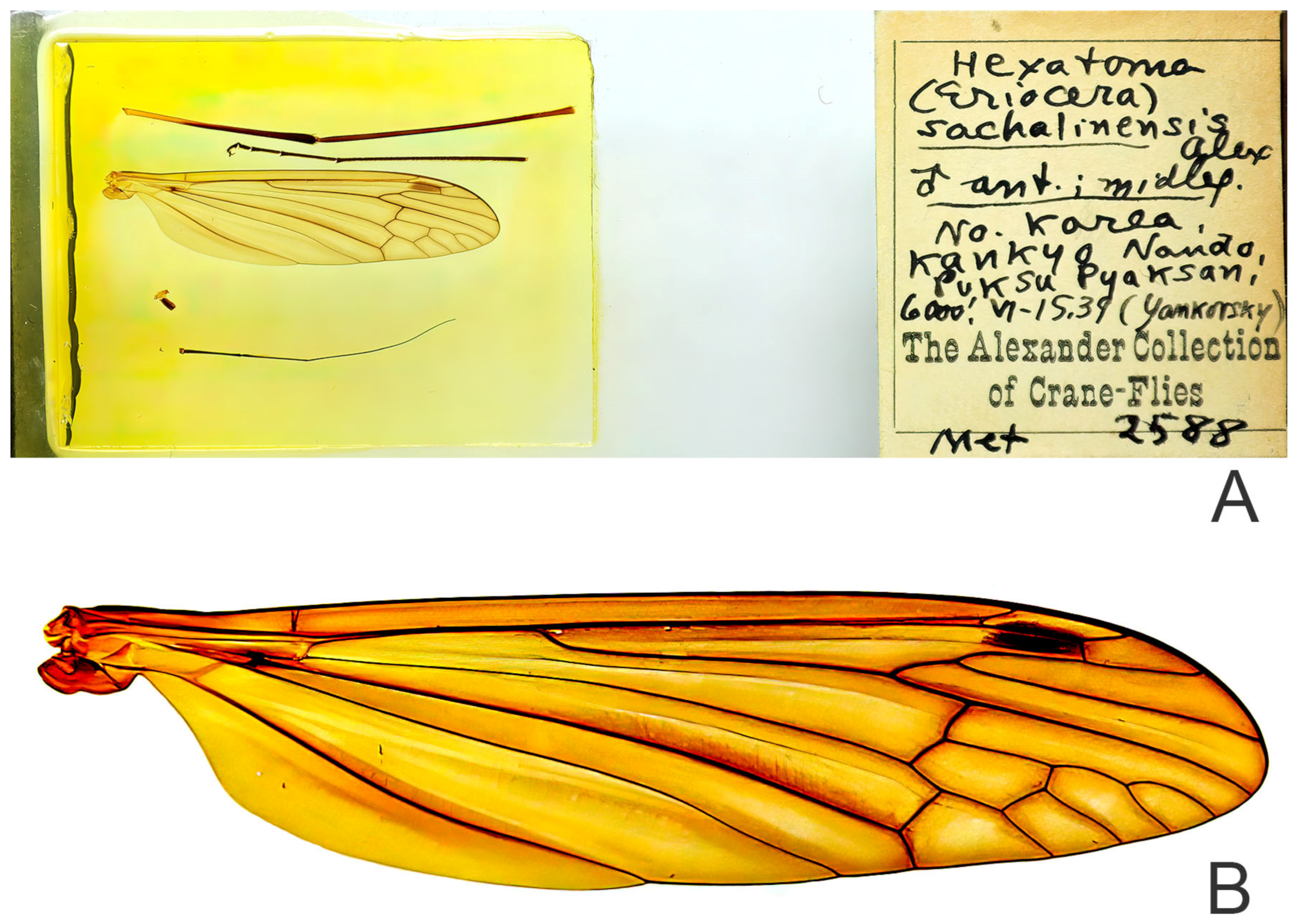 Diversity 15 00770 g023