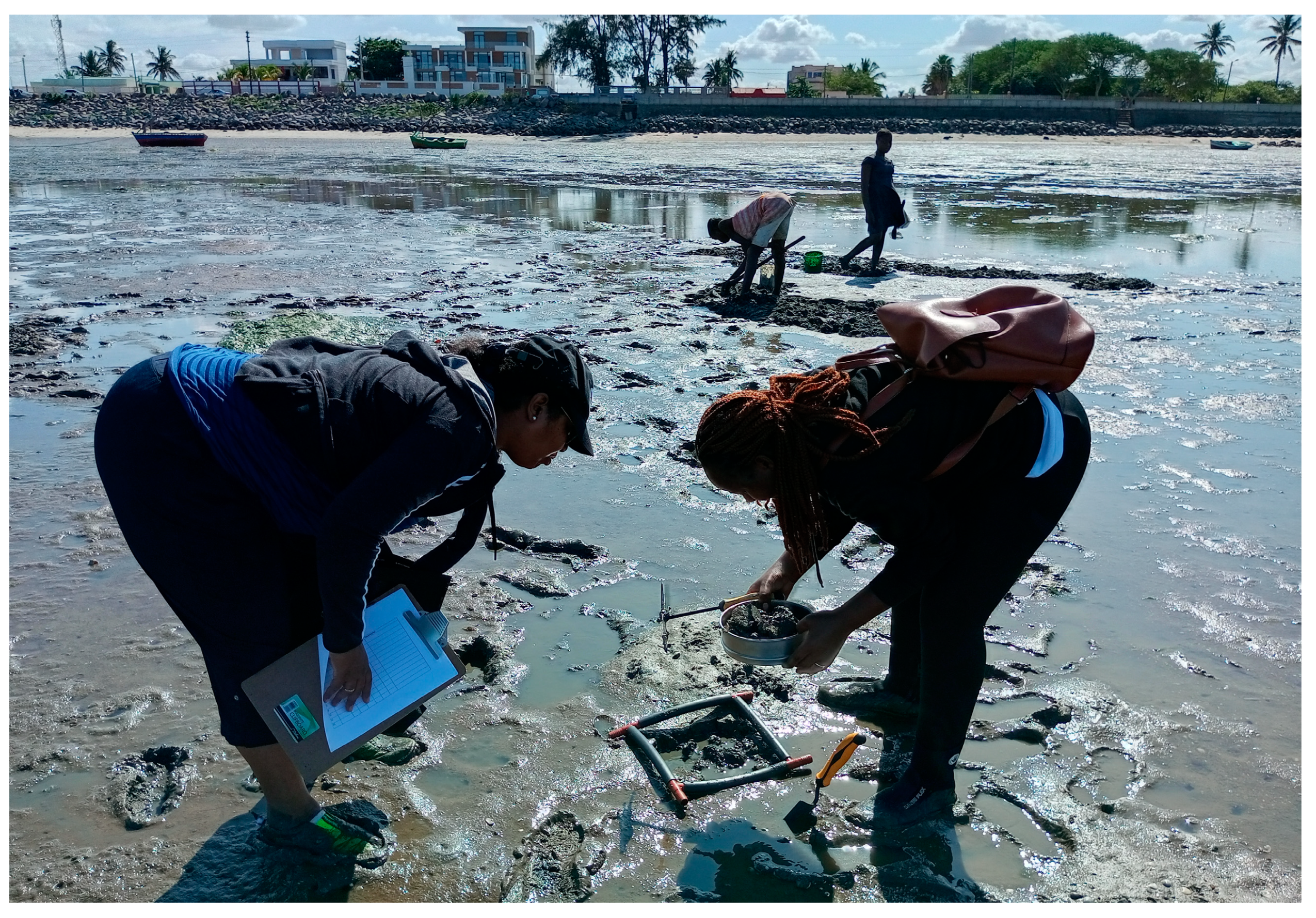 Diversity 15 00772 g002 Diversity 15 00772 g002