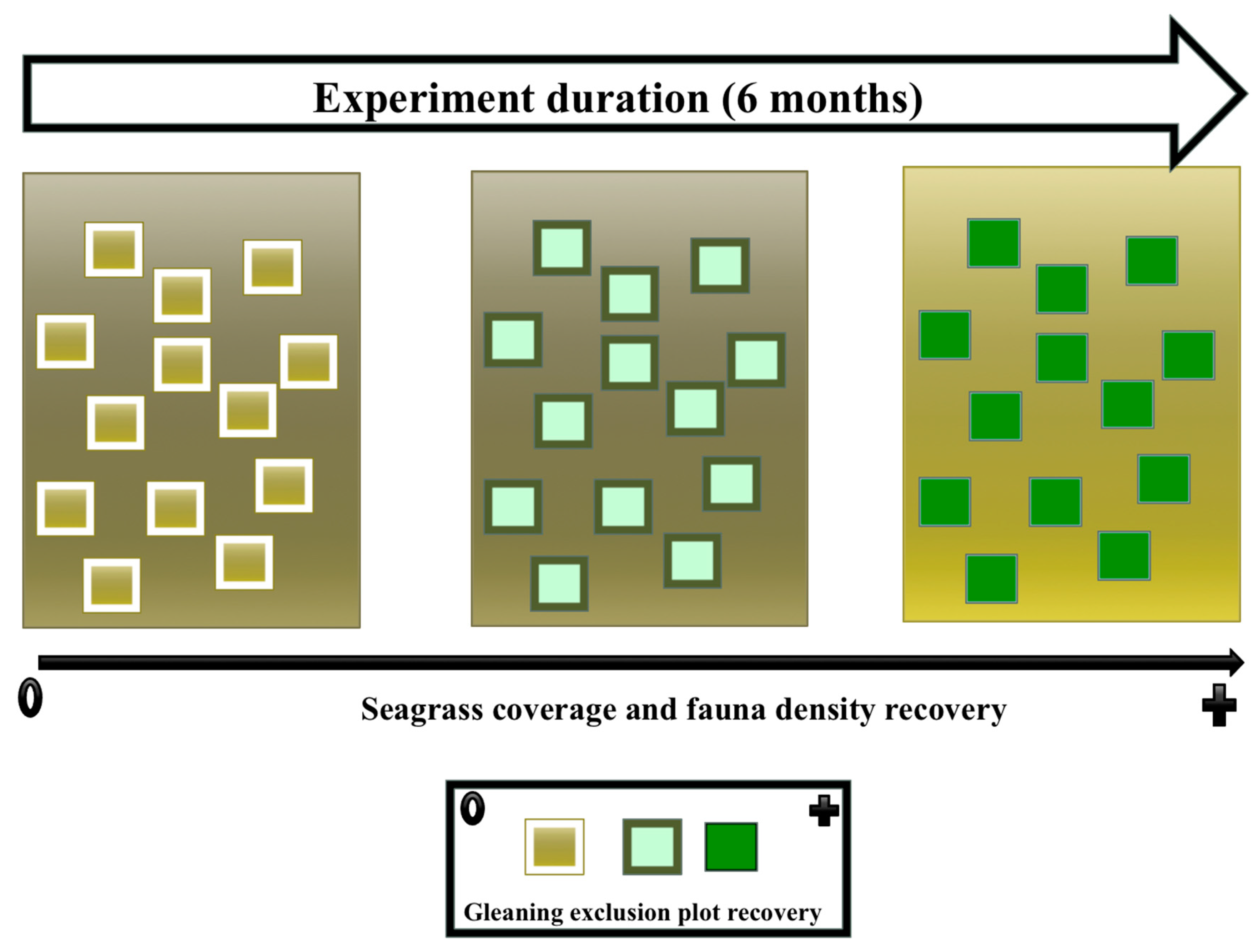 Diversity 15 00772 g010 Diversity 15 00772 g010