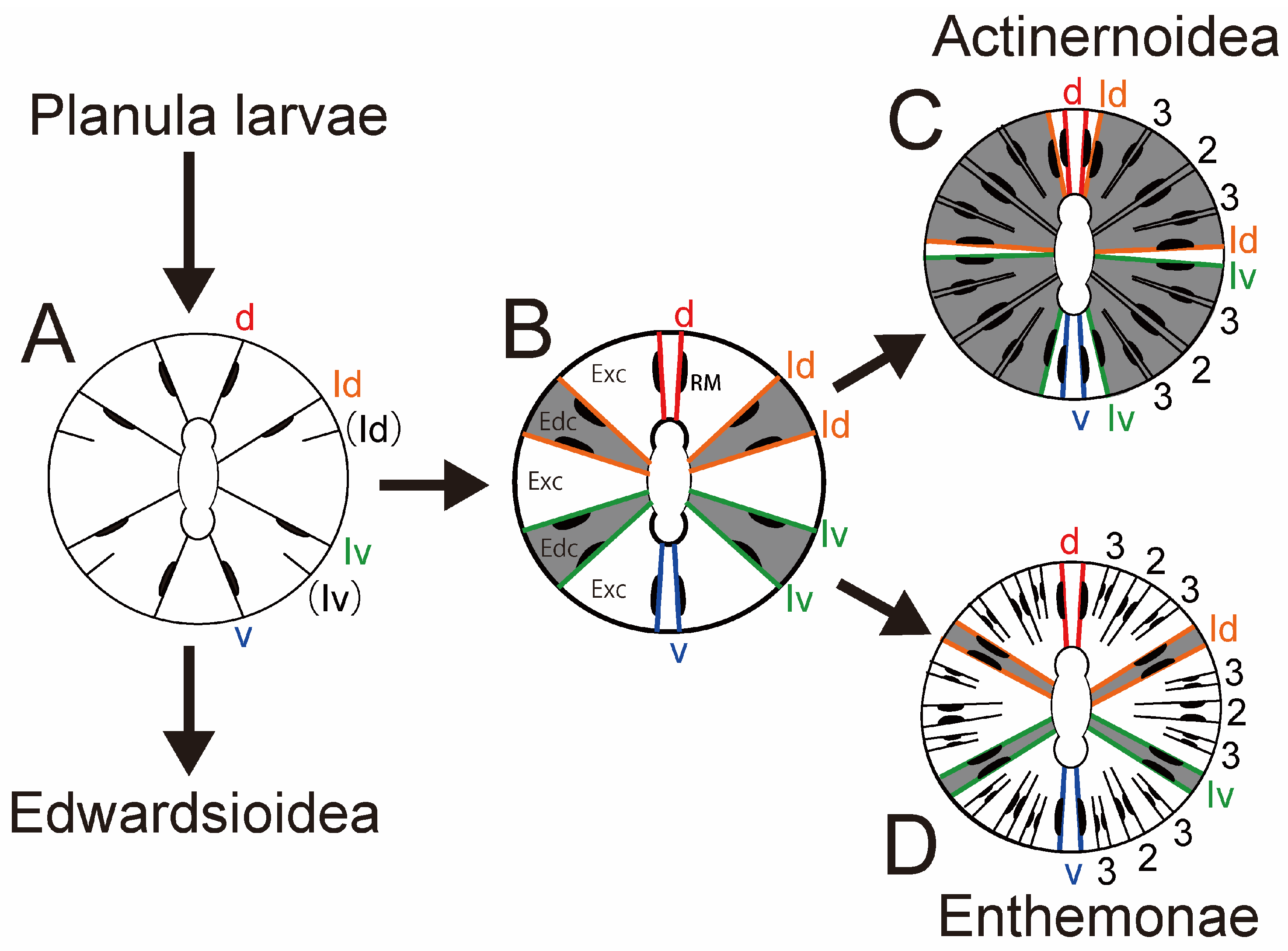 Diversity 15 00773 g001 550