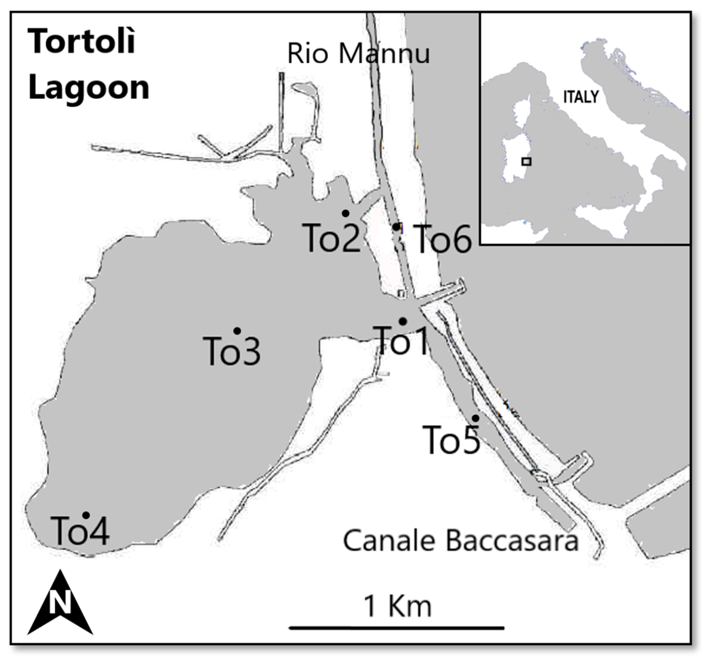 Diversity 15 00783 g001