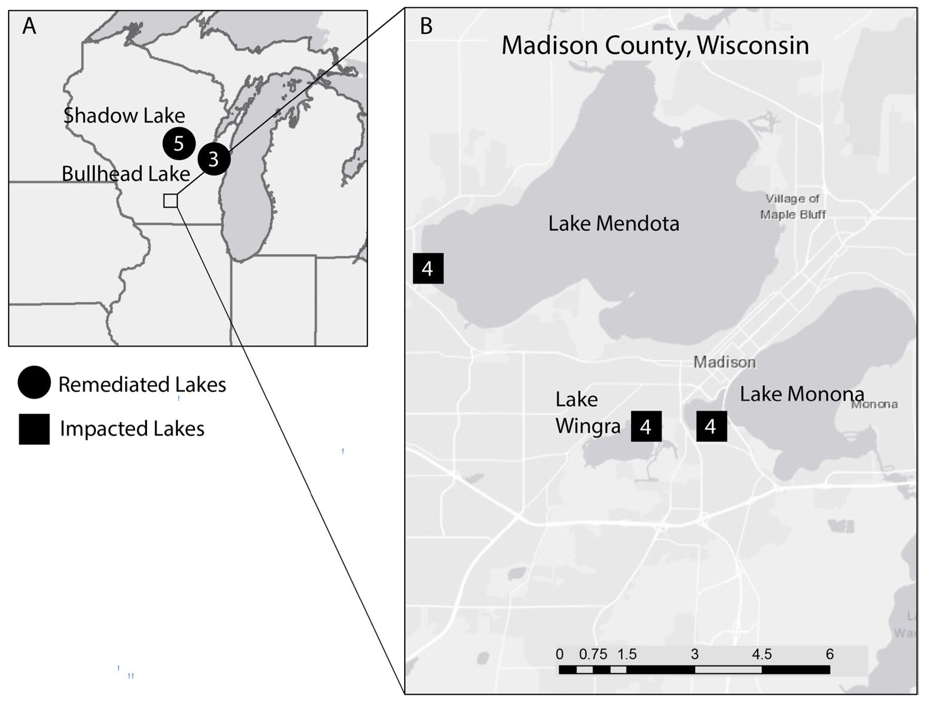 Diversity 15 00788 g002