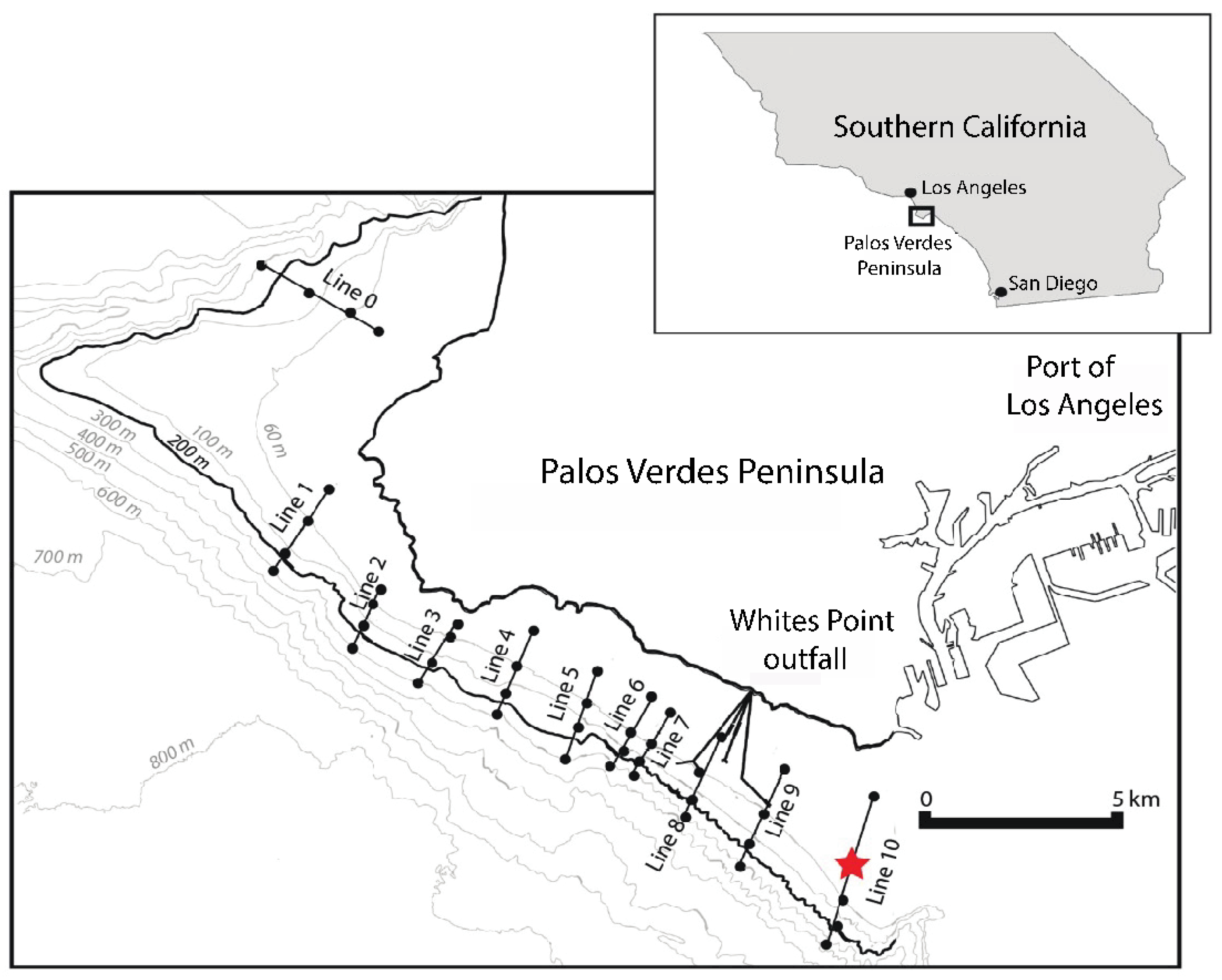 Diversity 15 00788 g003