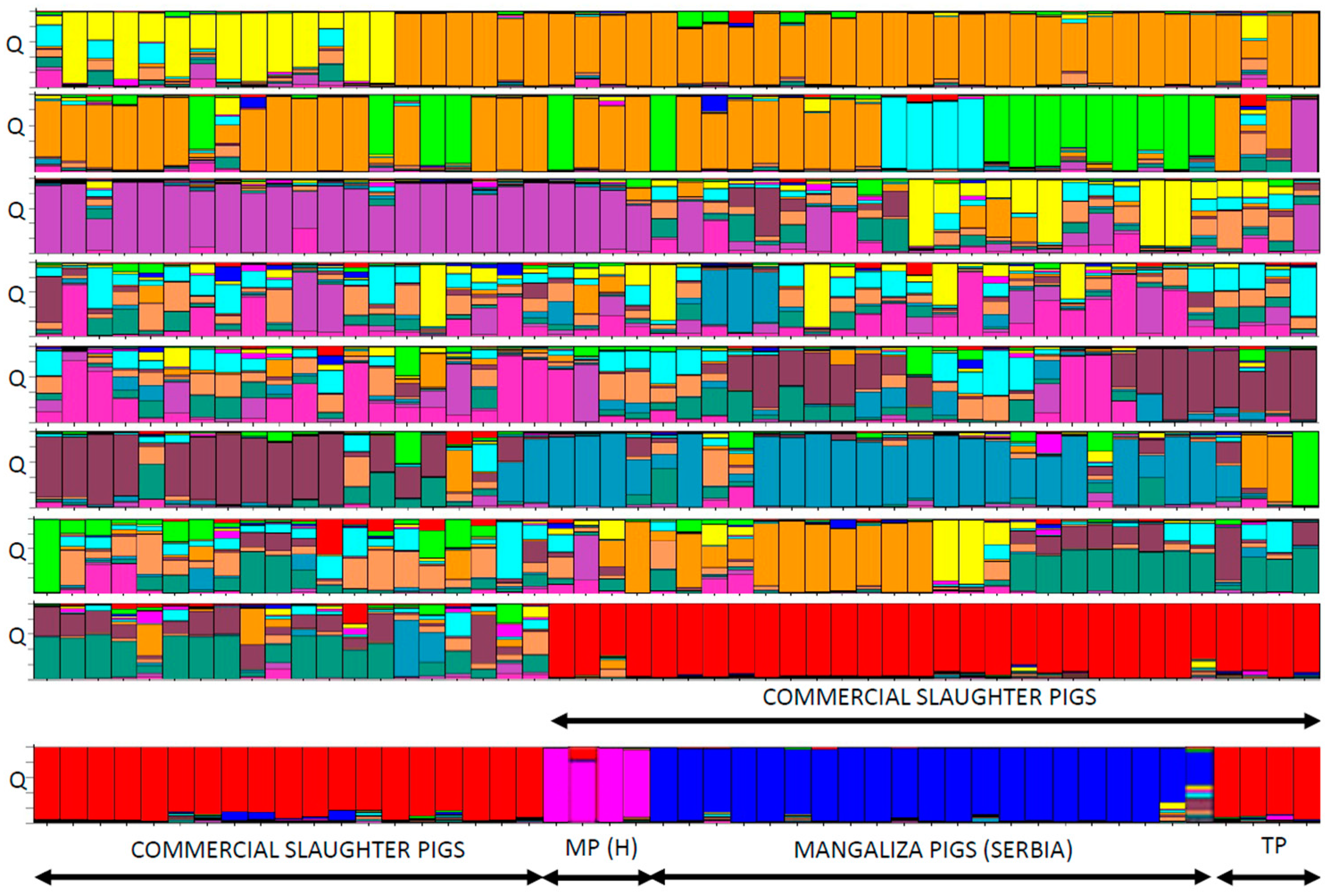 Diversity 15 00790 g003 Diversity 15 00790 g003