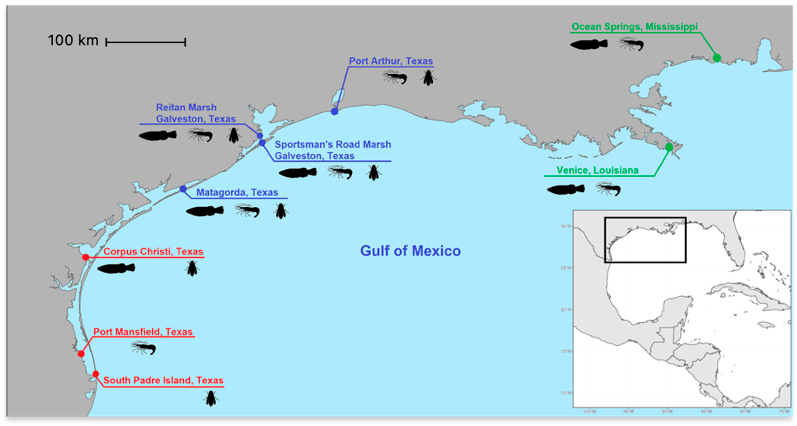 Diversity 15 00792 g001 Diversity 15 00792 g001