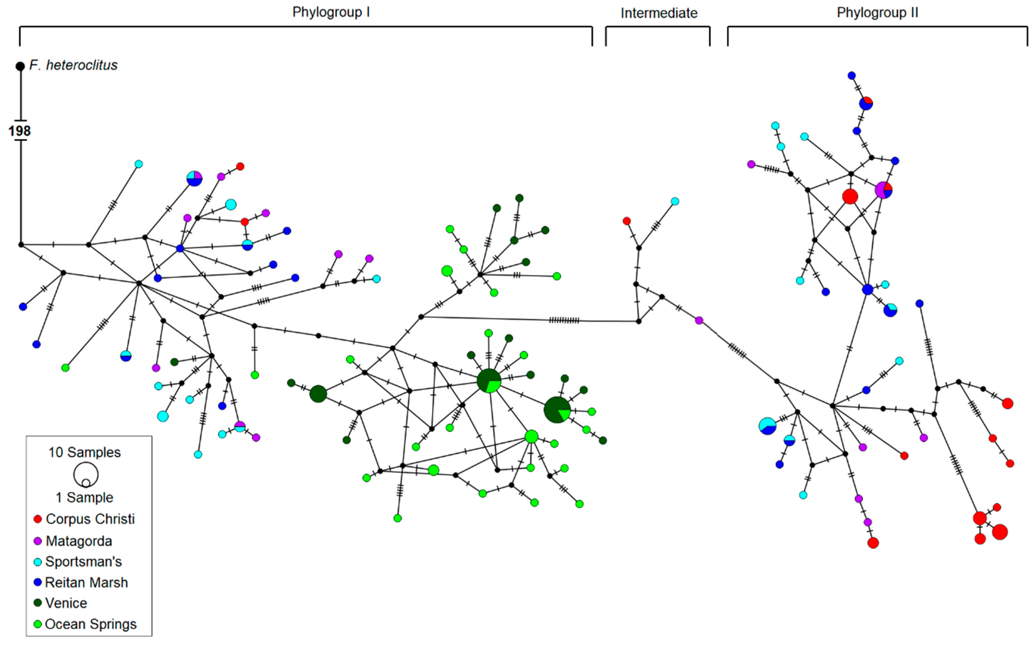 Diversity 15 00792 g003 Diversity 15 00792 g003