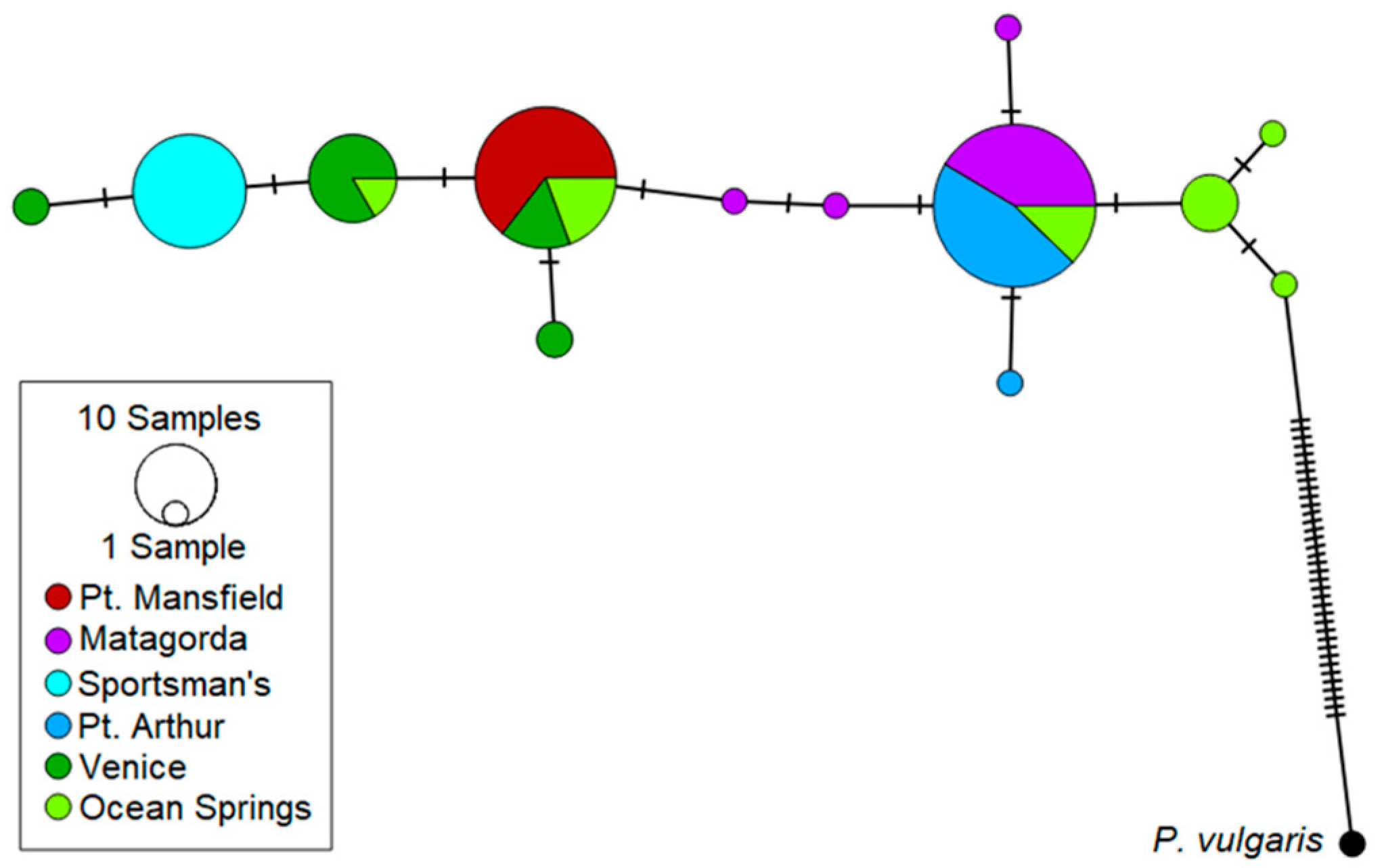 Diversity 15 00792 g008 Diversity 15 00792 g008