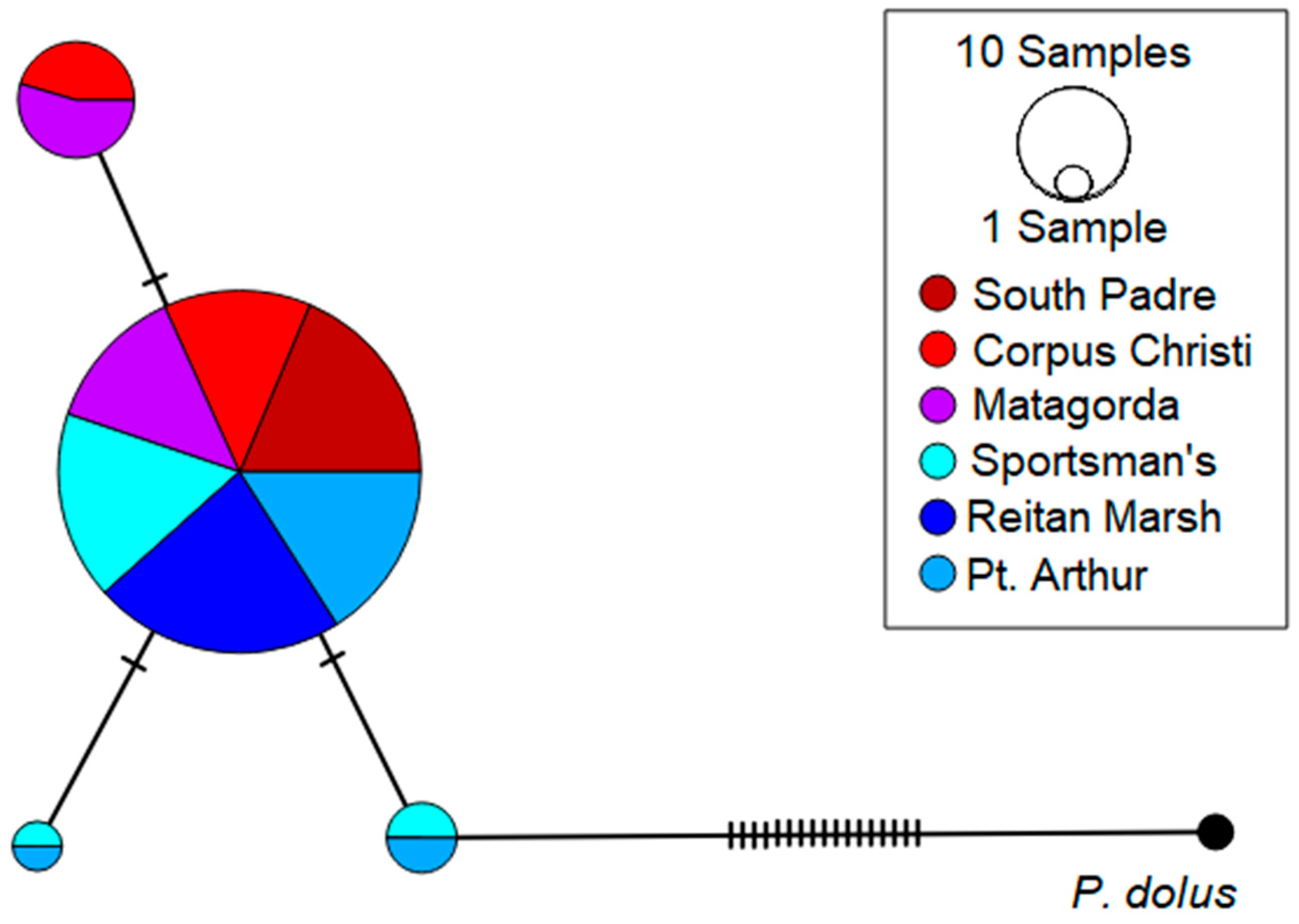 Diversity 15 00792 g010 Diversity 15 00792 g010
