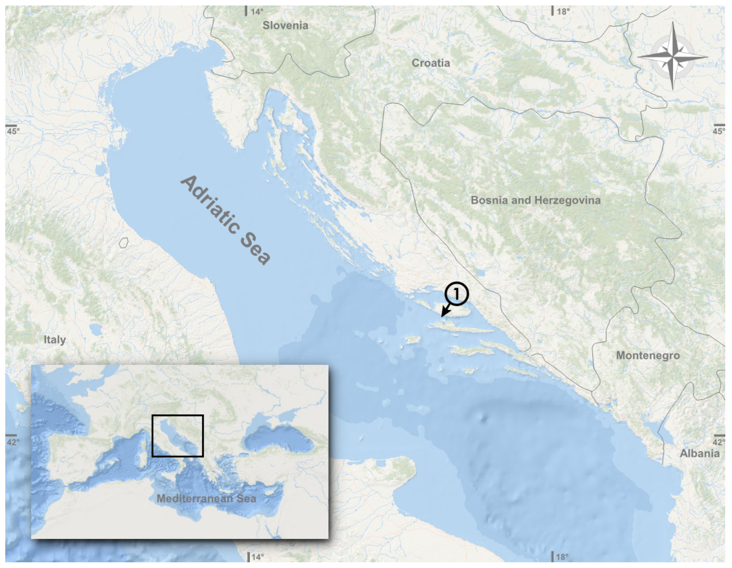 Diversity 15 00794 g001 Diversity 15 00794 g001