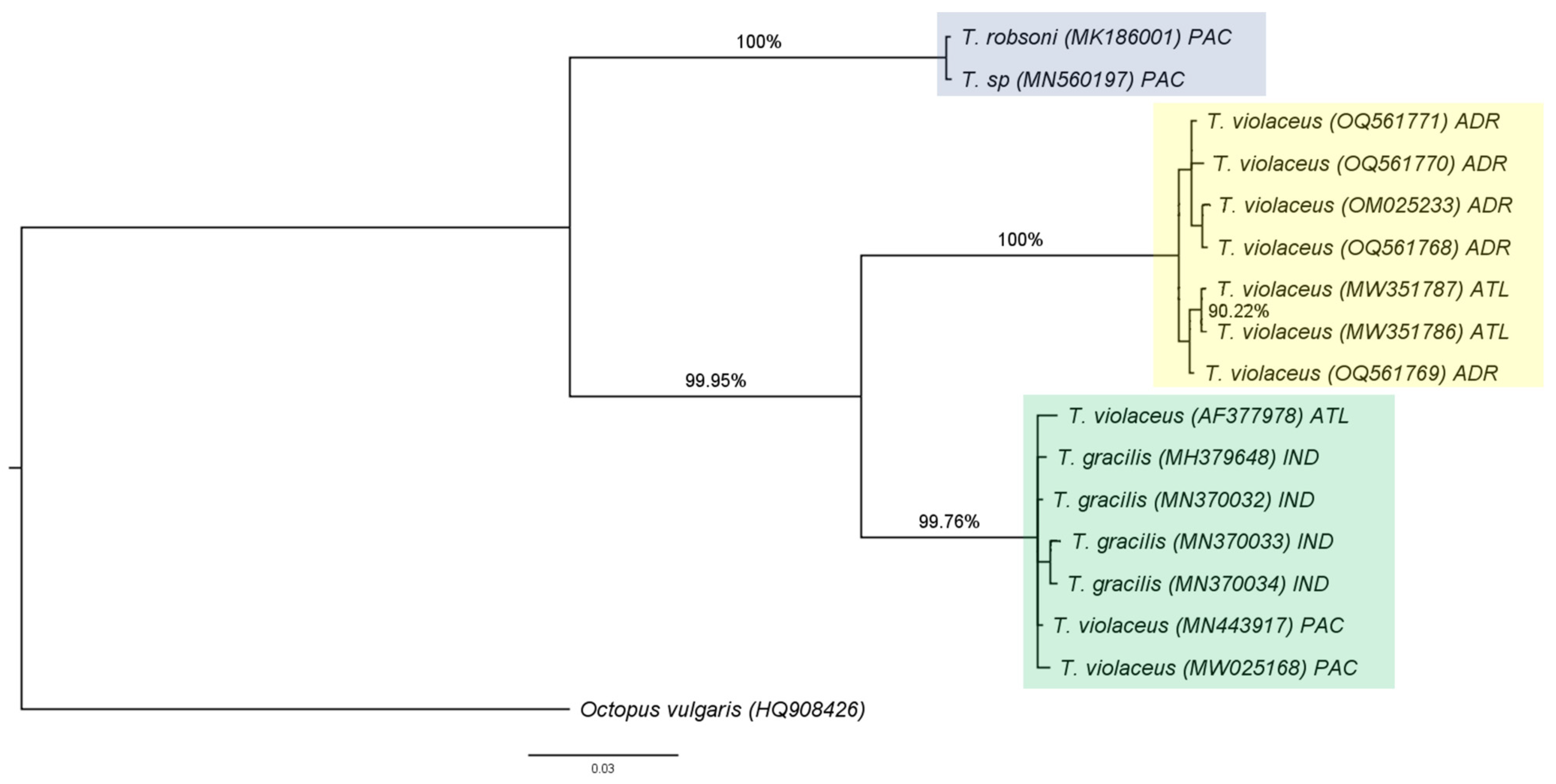 Diversity 15 00794 g006 Diversity 15 00794 g006