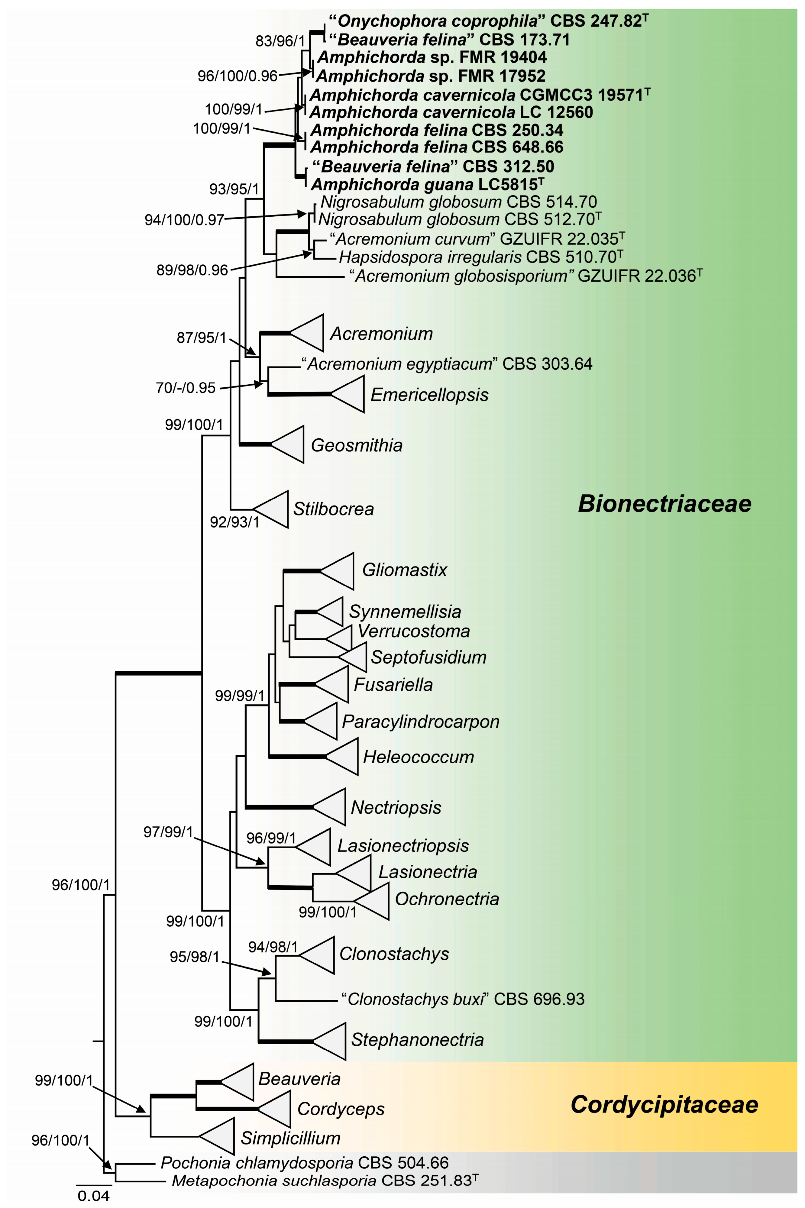 Diversity 15 00795 g001 Diversity 15 00795 g001