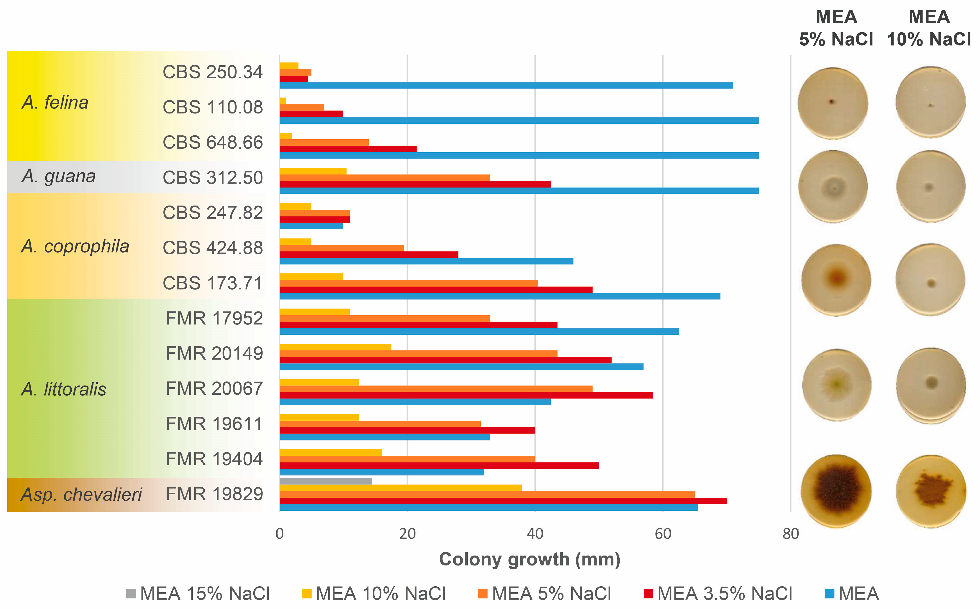 Diversity 15 00795 g004 Diversity 15 00795 g004