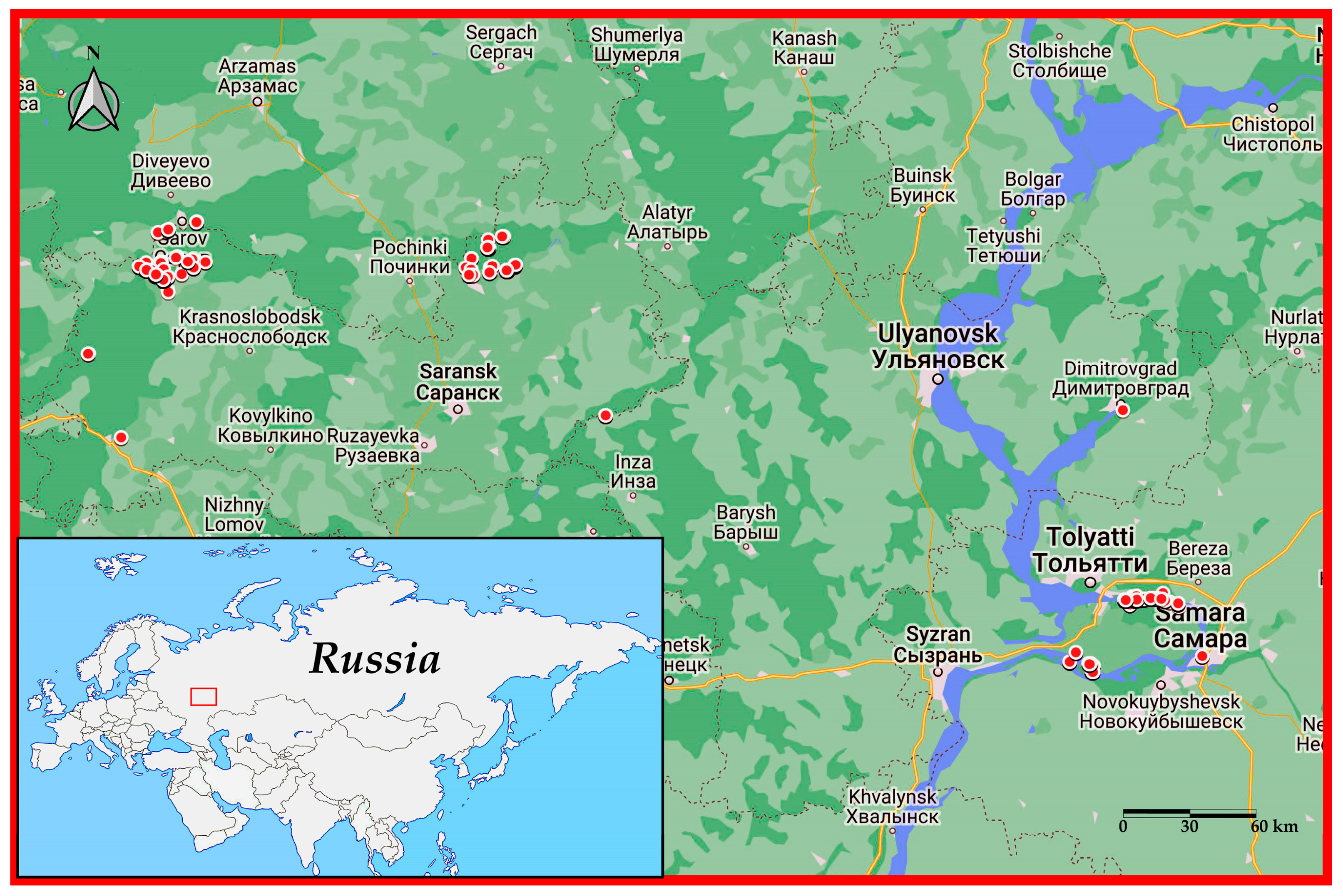 Diversity 15 00796 g005 Diversity 15 00796 g005