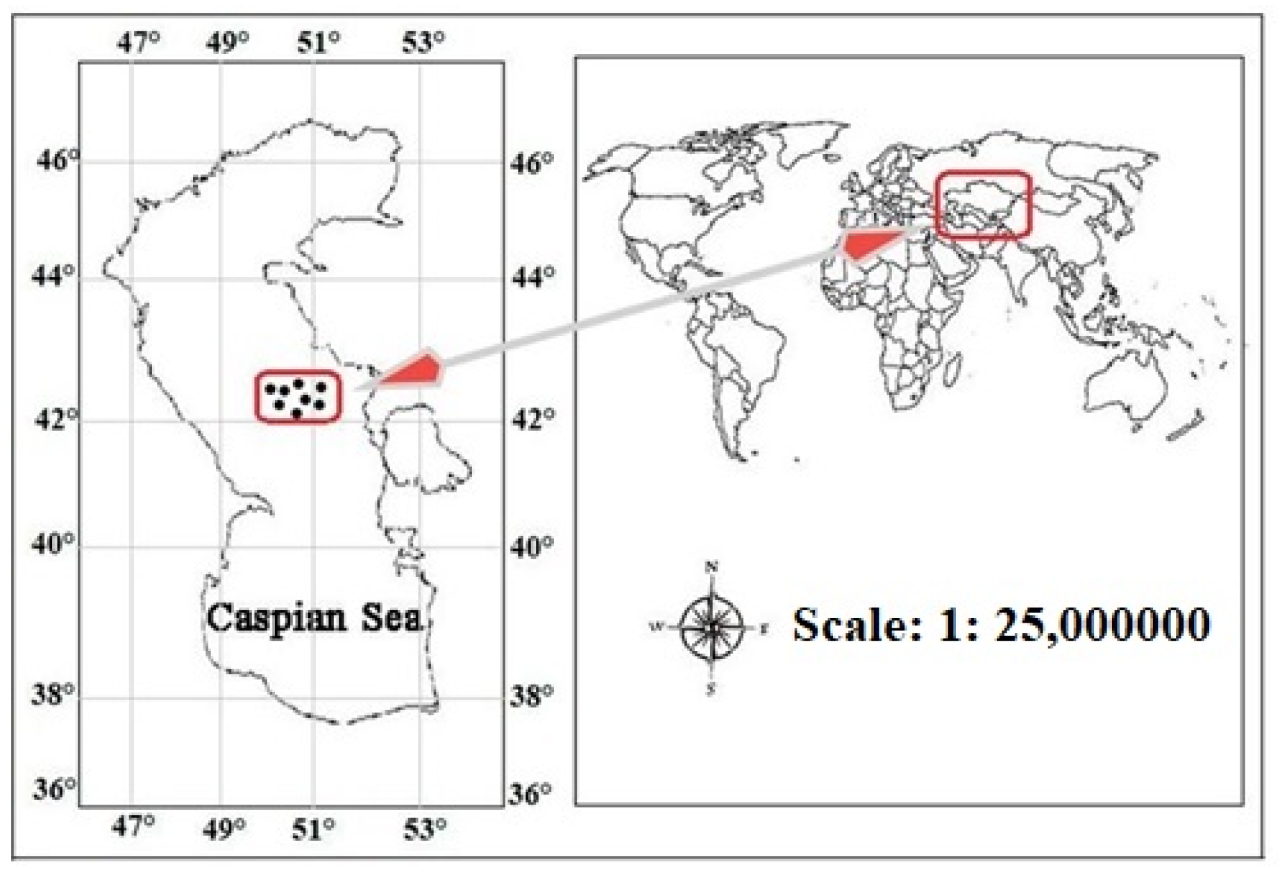 Diversity 15 00798 g001