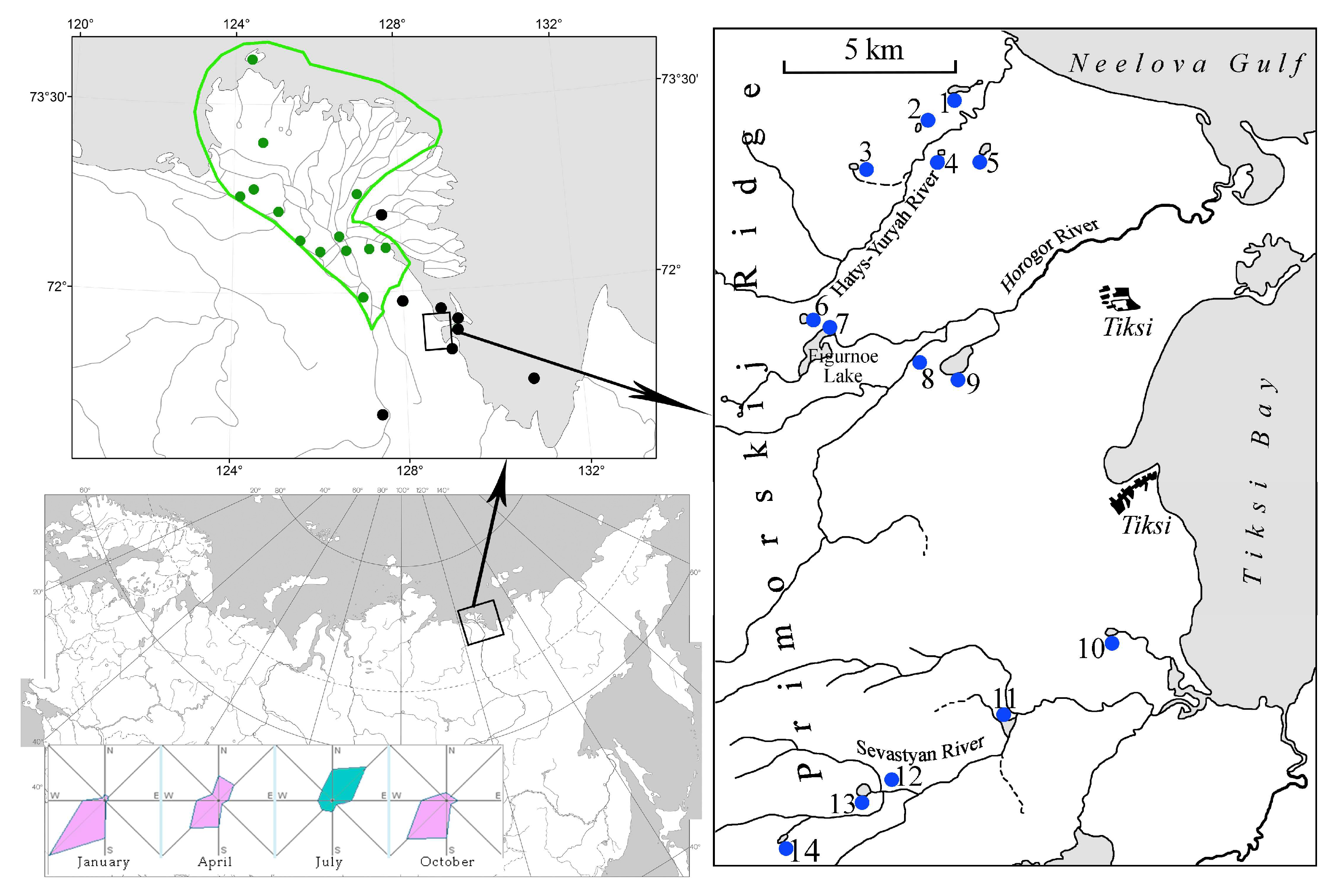 Diversity 15 00802 g001