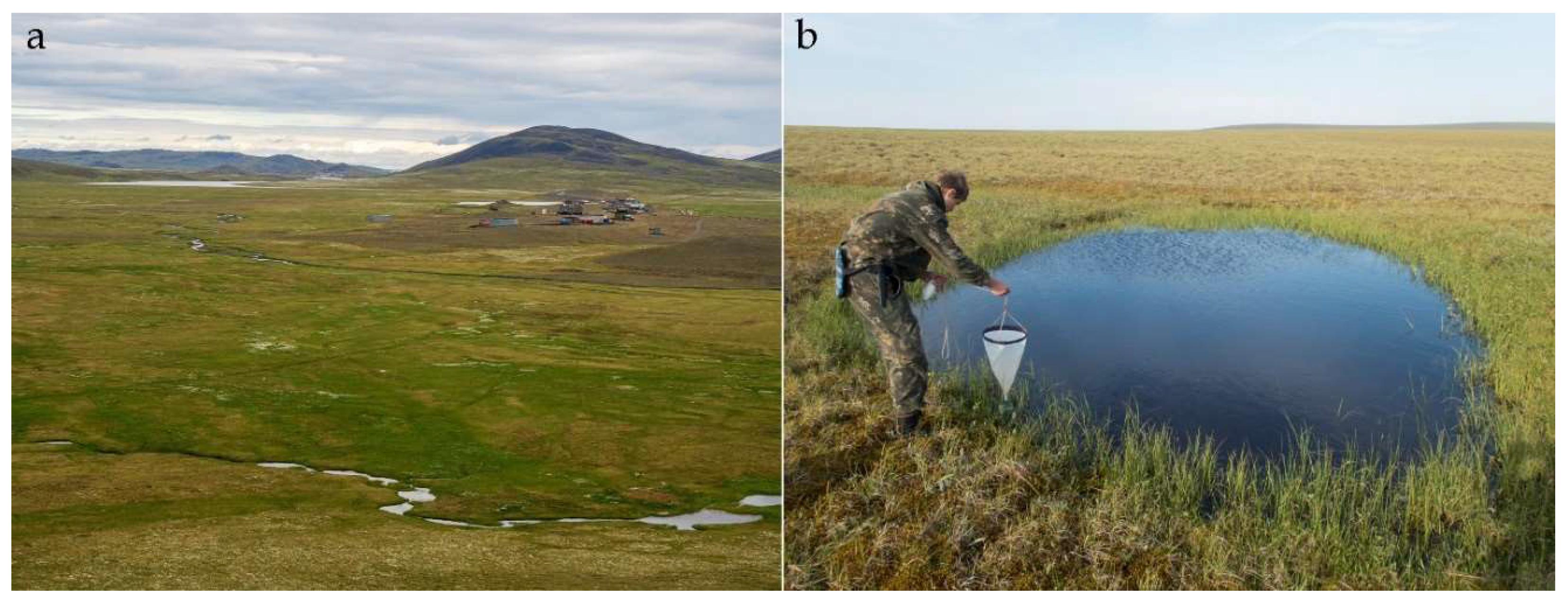 Diversity 15 00802 g002