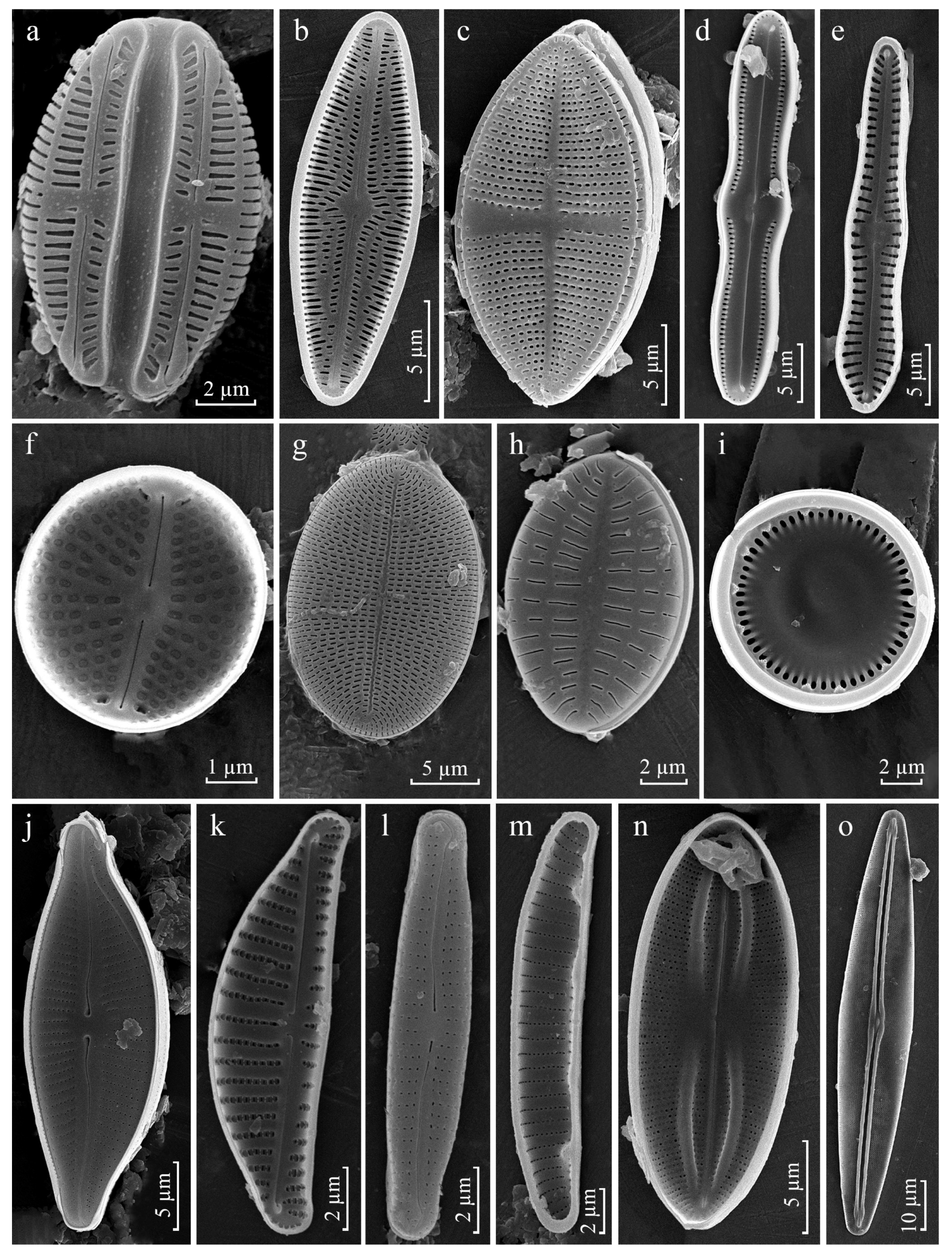 Diversity 15 00802 g0a1
