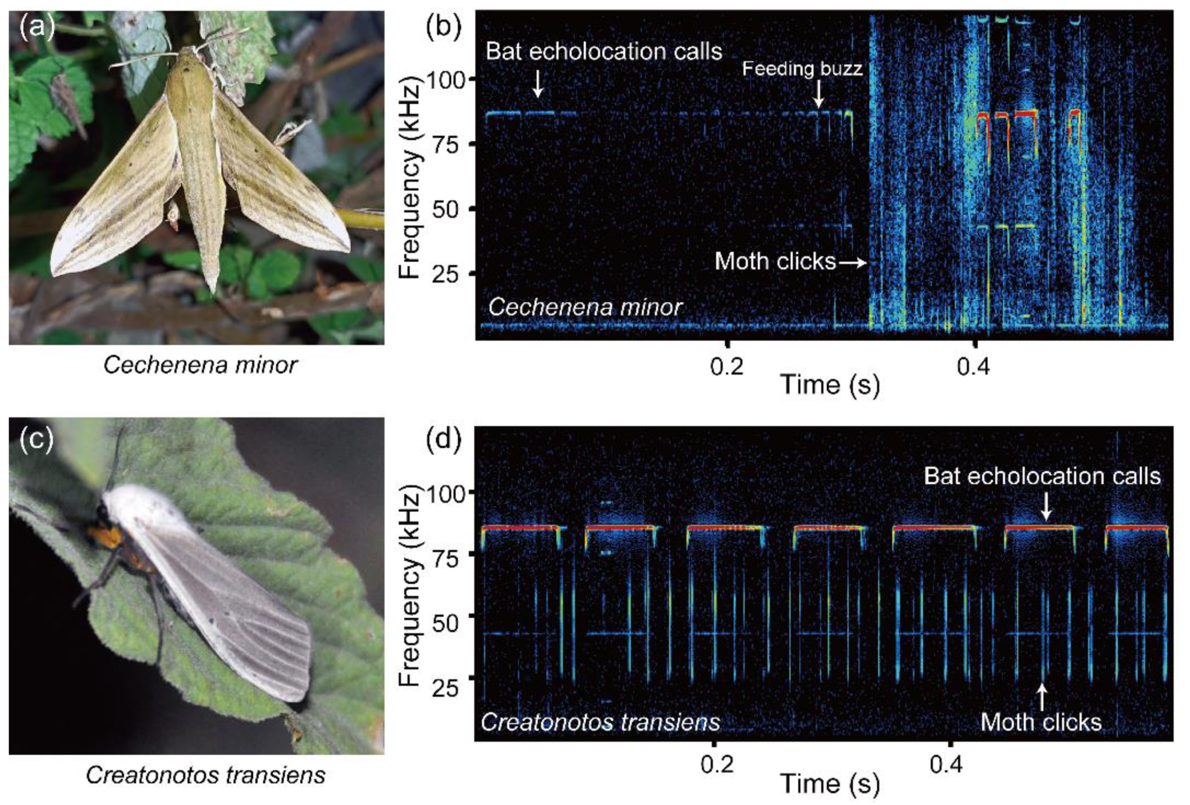 Diversity 15 00804 g001 Diversity 15 00804 g001